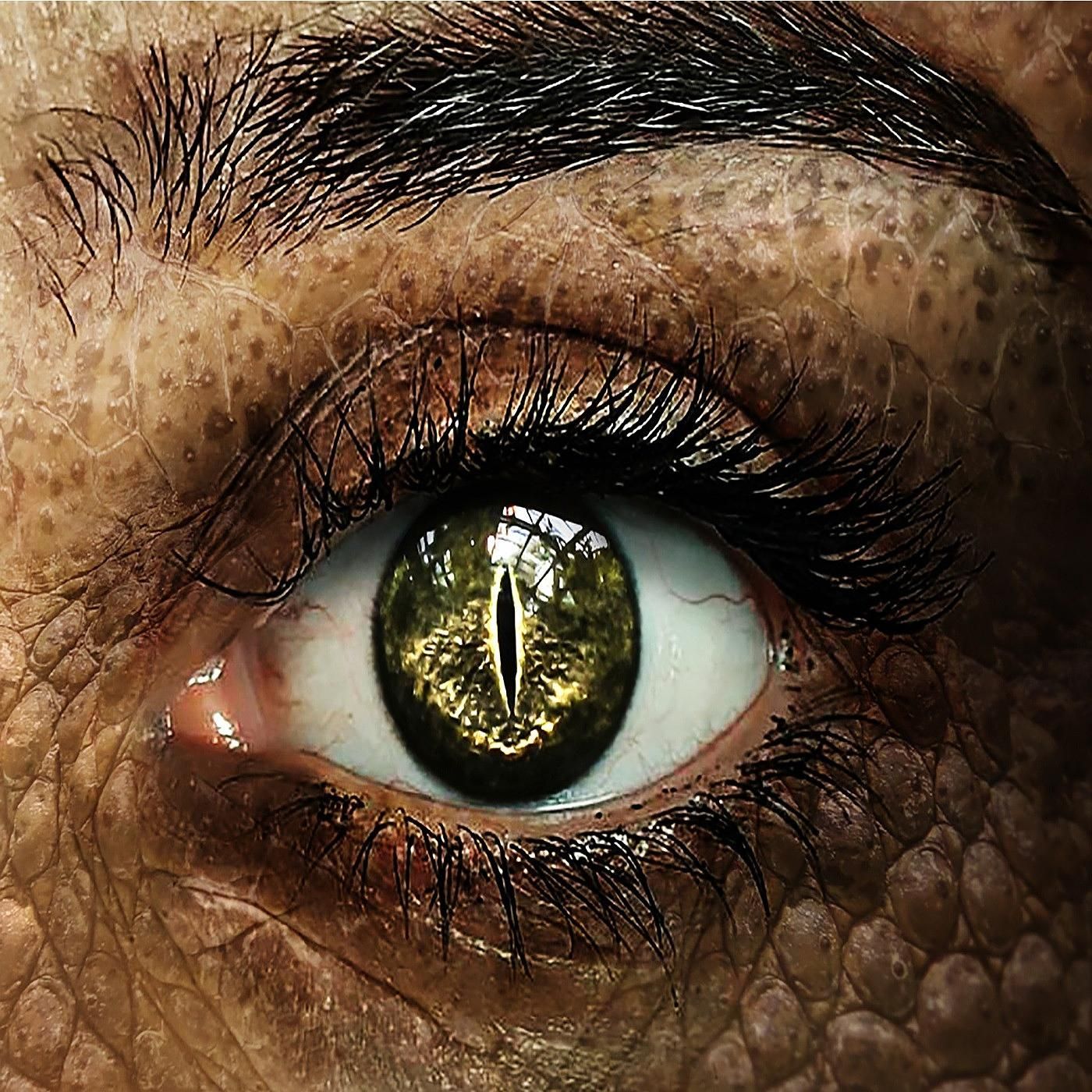 [DSA Hörspiel] Im Auge des Drachen #10 | Unter Edelleuten (Fanmade)