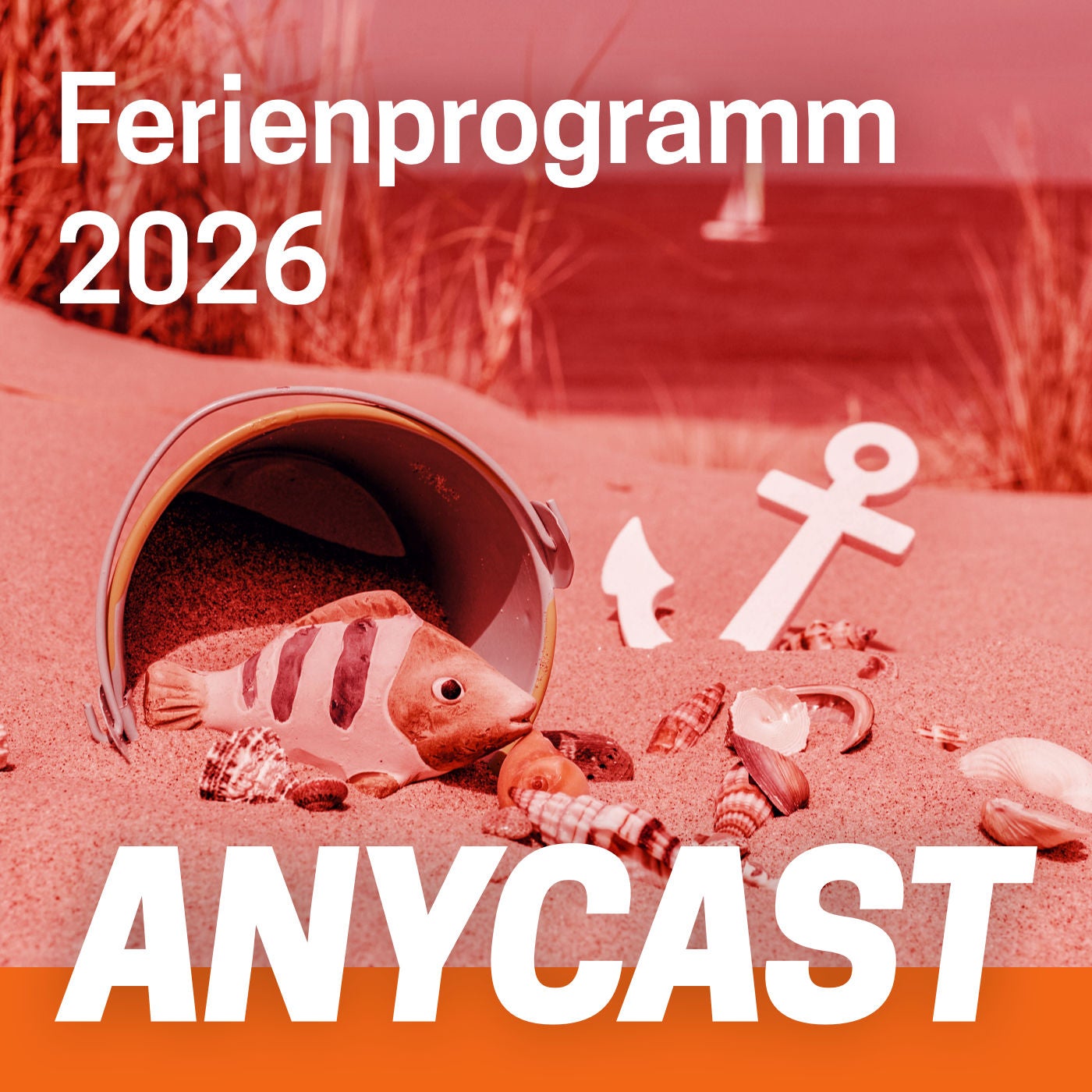 ANYCAST-Ferienprogramm 2026: Woche 4