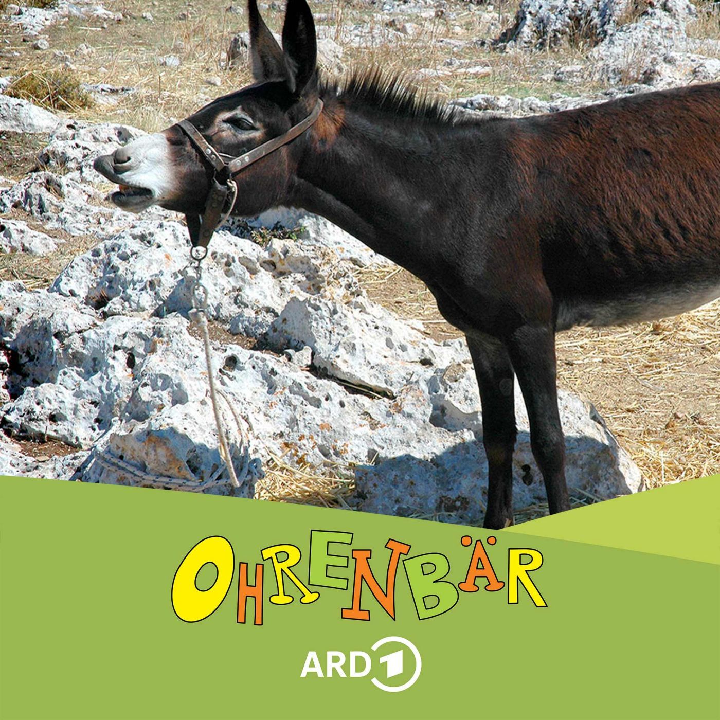 Hauptgewinn: Familienwanderung mit Esel (2/6): Opa springt ein