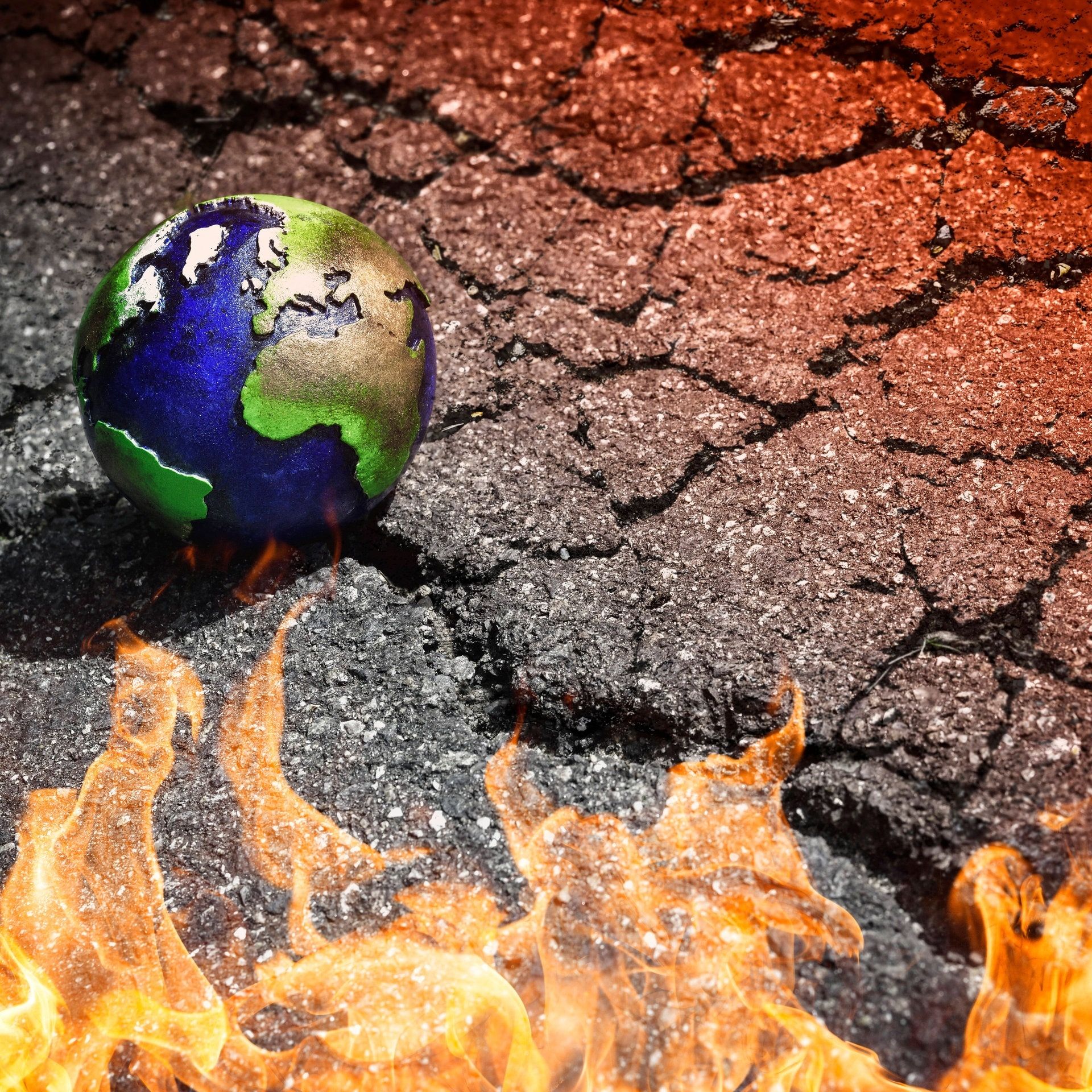Wie El Nino Waldbrände befeuert