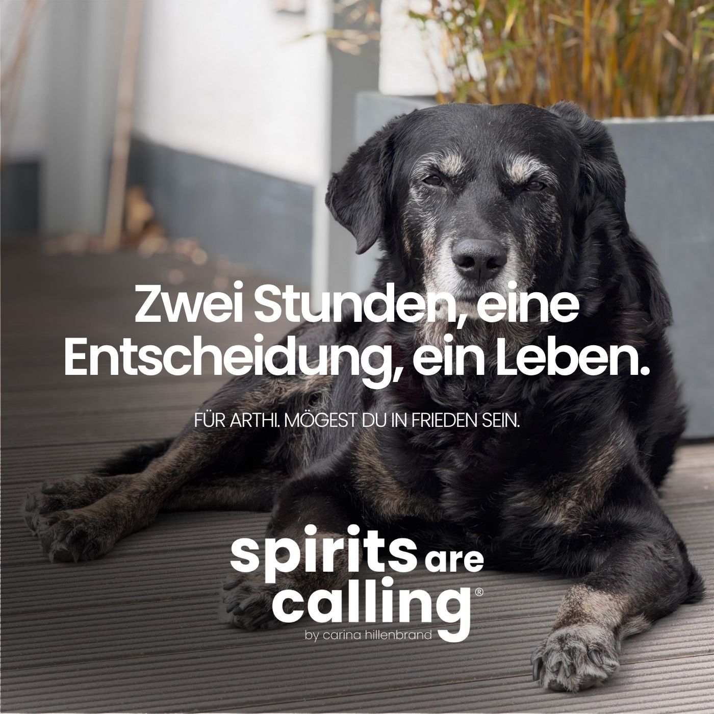 Zwei Stunden, eine Entscheidung, ein Leben