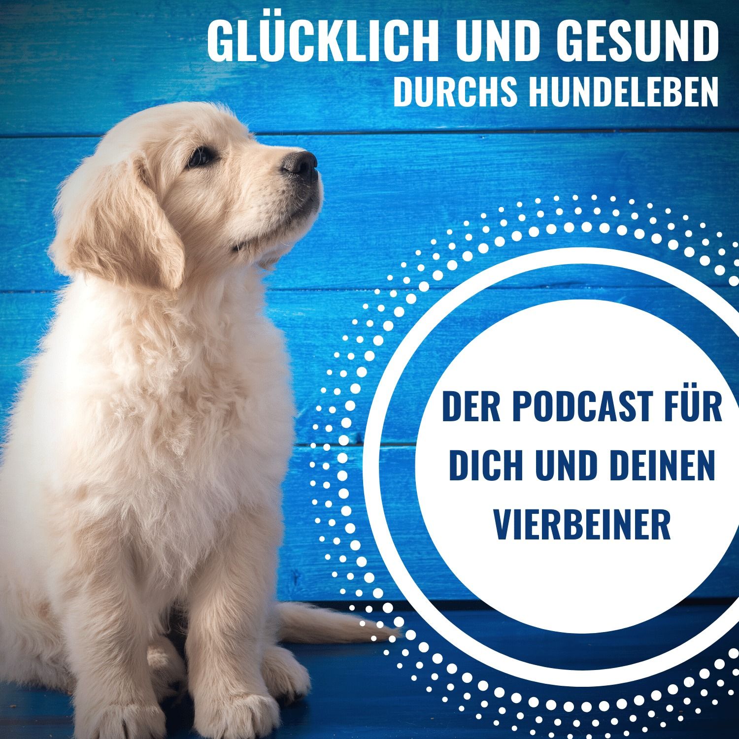 # 23 Hundeflüsterer oder Kontrollfreaks? Die Gefahr des über-erzogenen Hundes