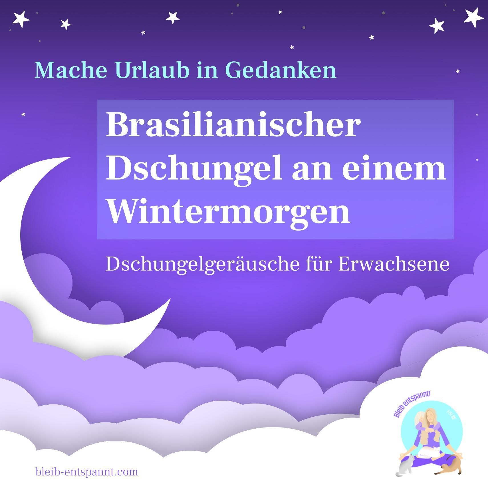 Sanfte Dschungelgeräusche zum Einschlafen – Ein brasilianischer Dschungel an einem Wintermorgen - für Erwachsene