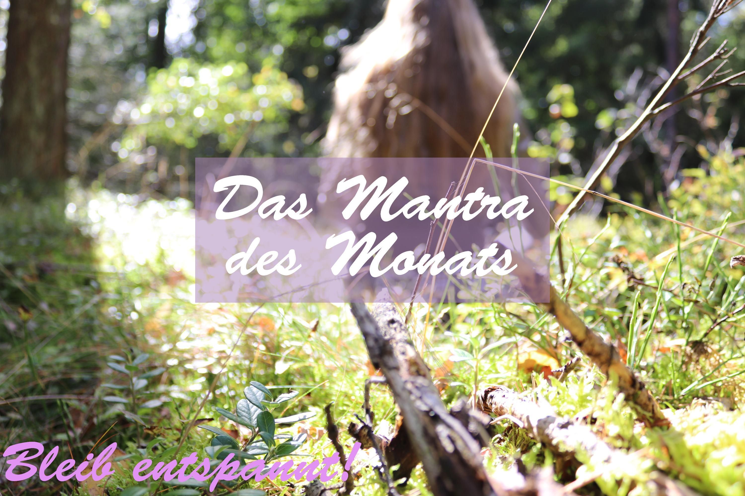 Das Mantra des Monats - für Erwachsene