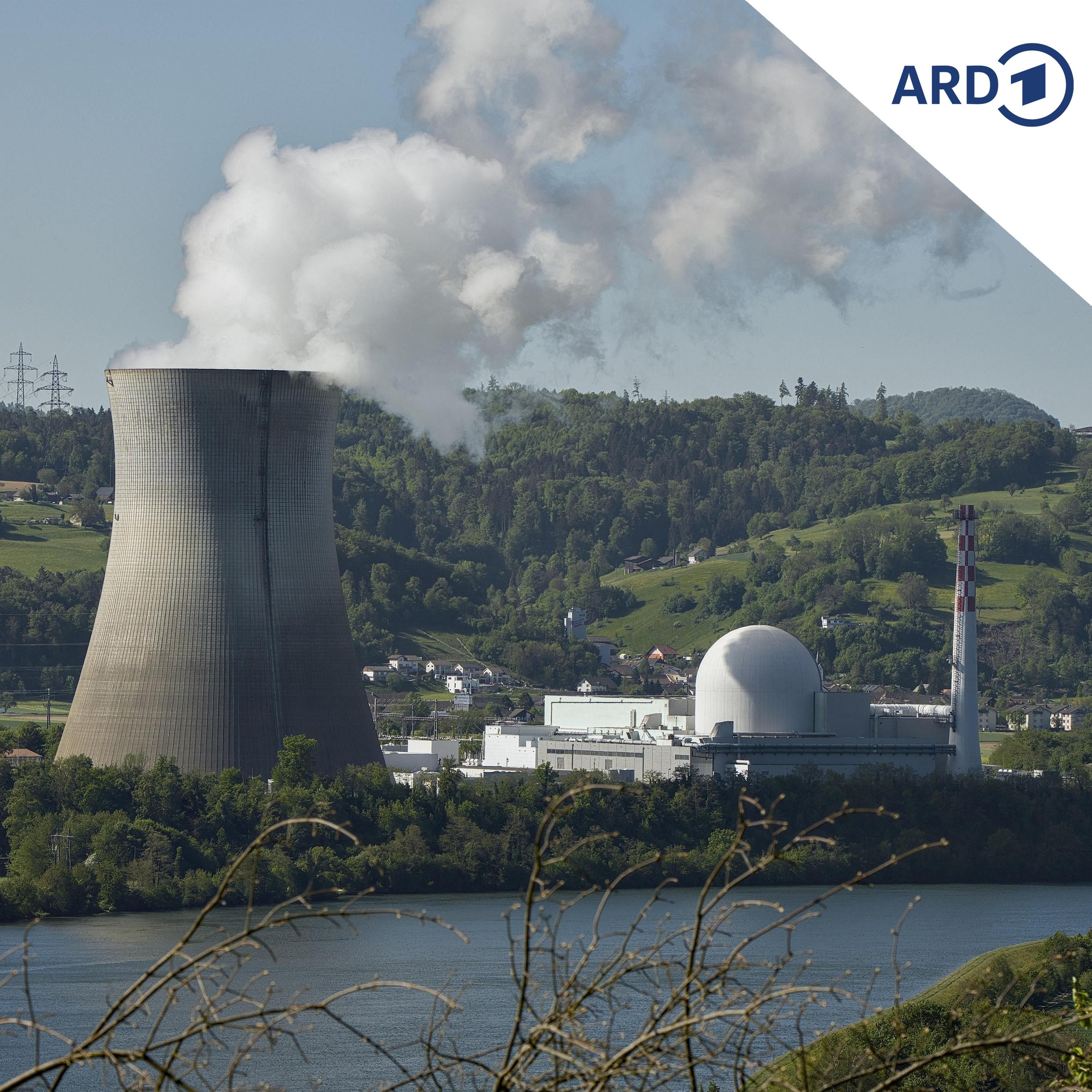 Energie-Experte: Kernkraft im Sommer unzuverlässig