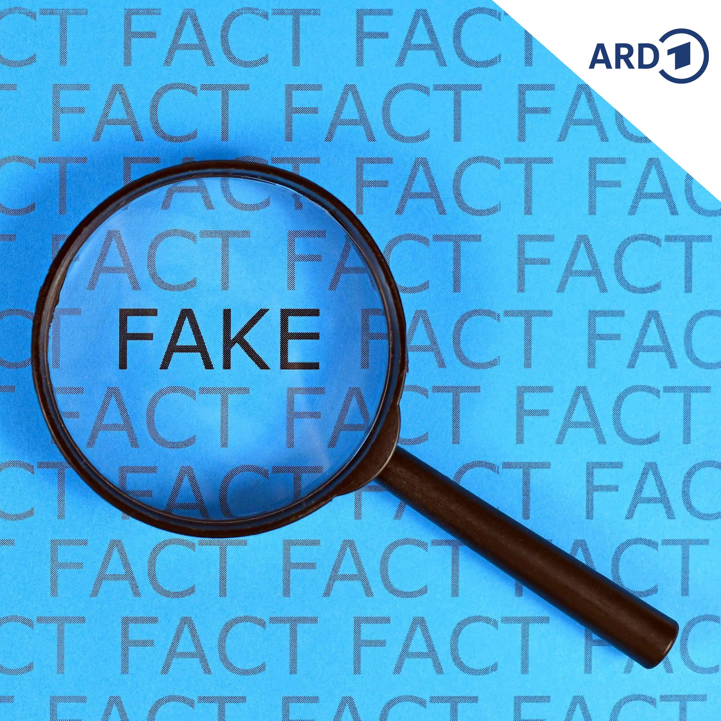 Forscherin: Fake News sollen Wahlen im Osten beeinflussen