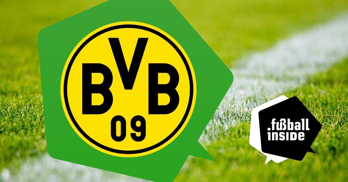 Der BVB-Check
