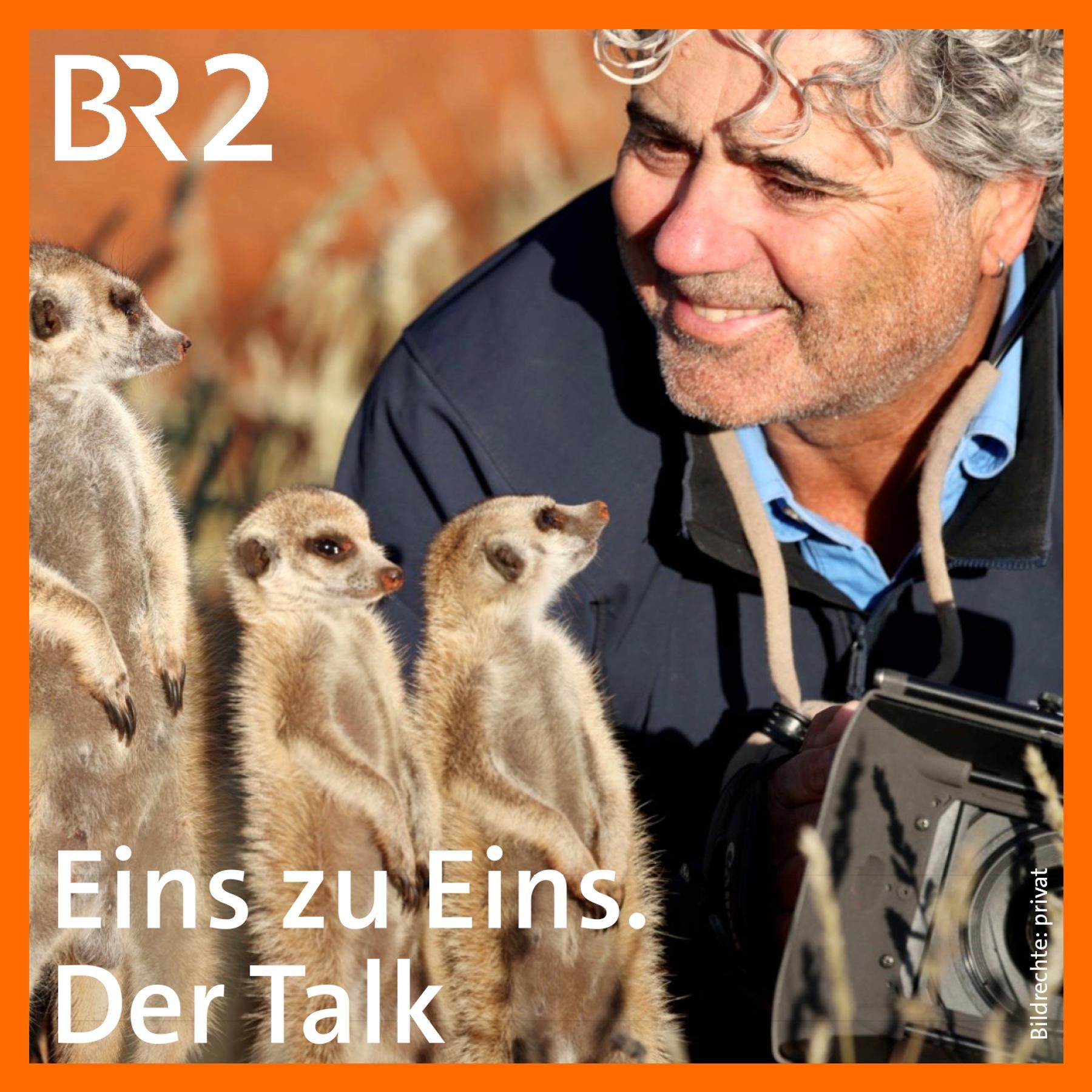 Jens Westphalen, Tierfilmer: Eichhörnchen sind am schwersten zu filmen