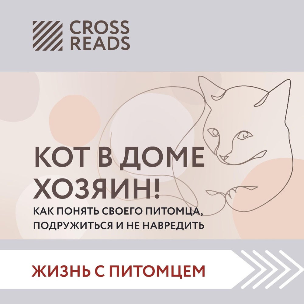 Саммари книги "Кот в доме хозяин! Как понять своего питомца. подружиться и не навредить"