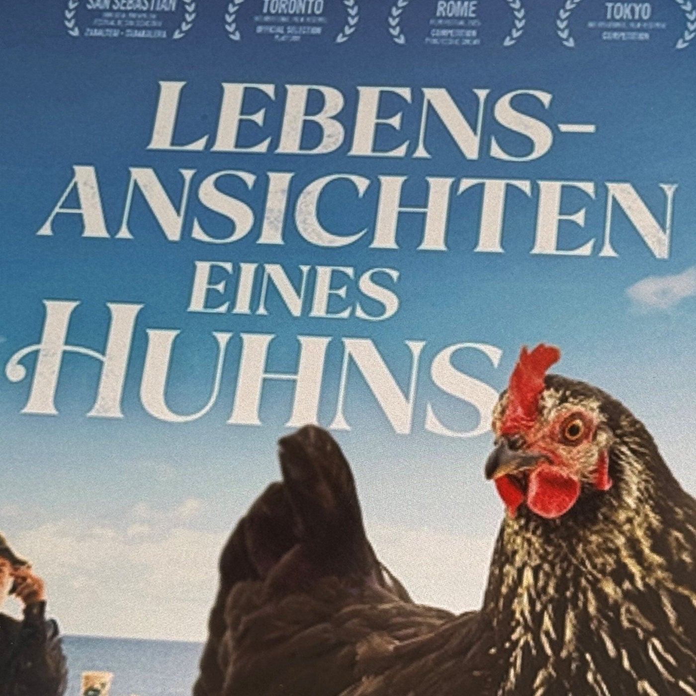 Tyúkszemszögből a világ: Pálfi Györgyöt filmjének bécsi premierjéről kérdeztük