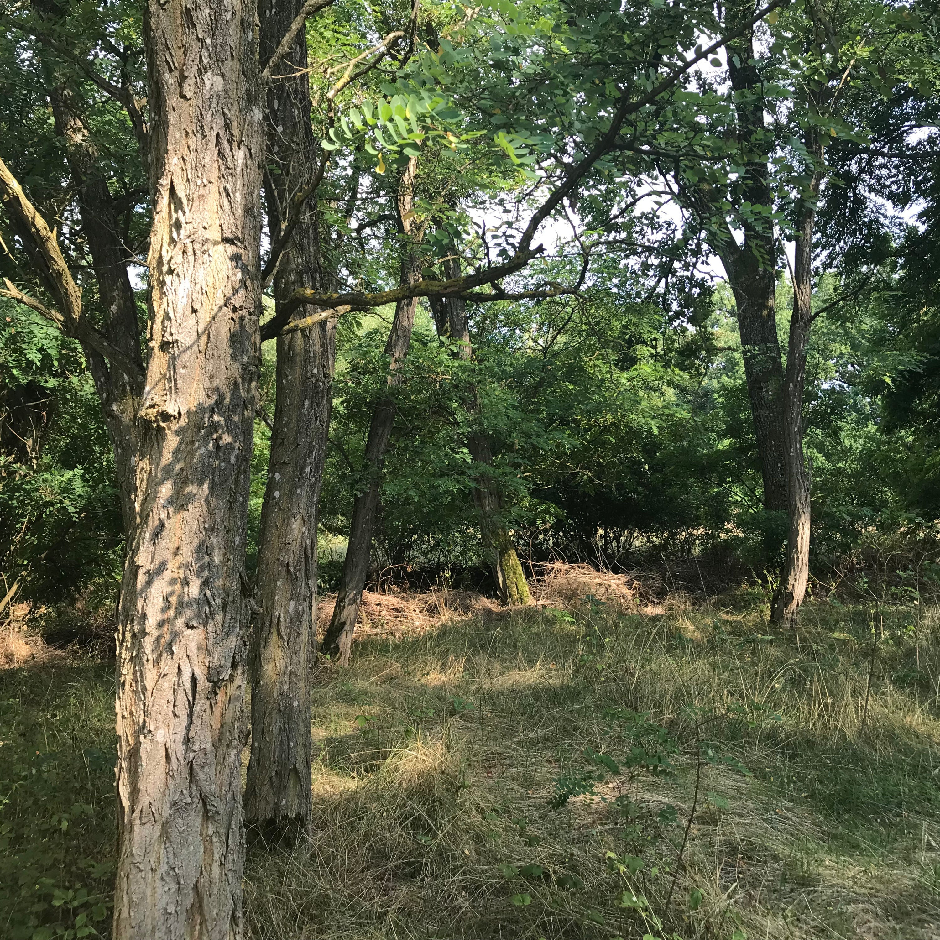 2. Staffel / Folge 9: Natur