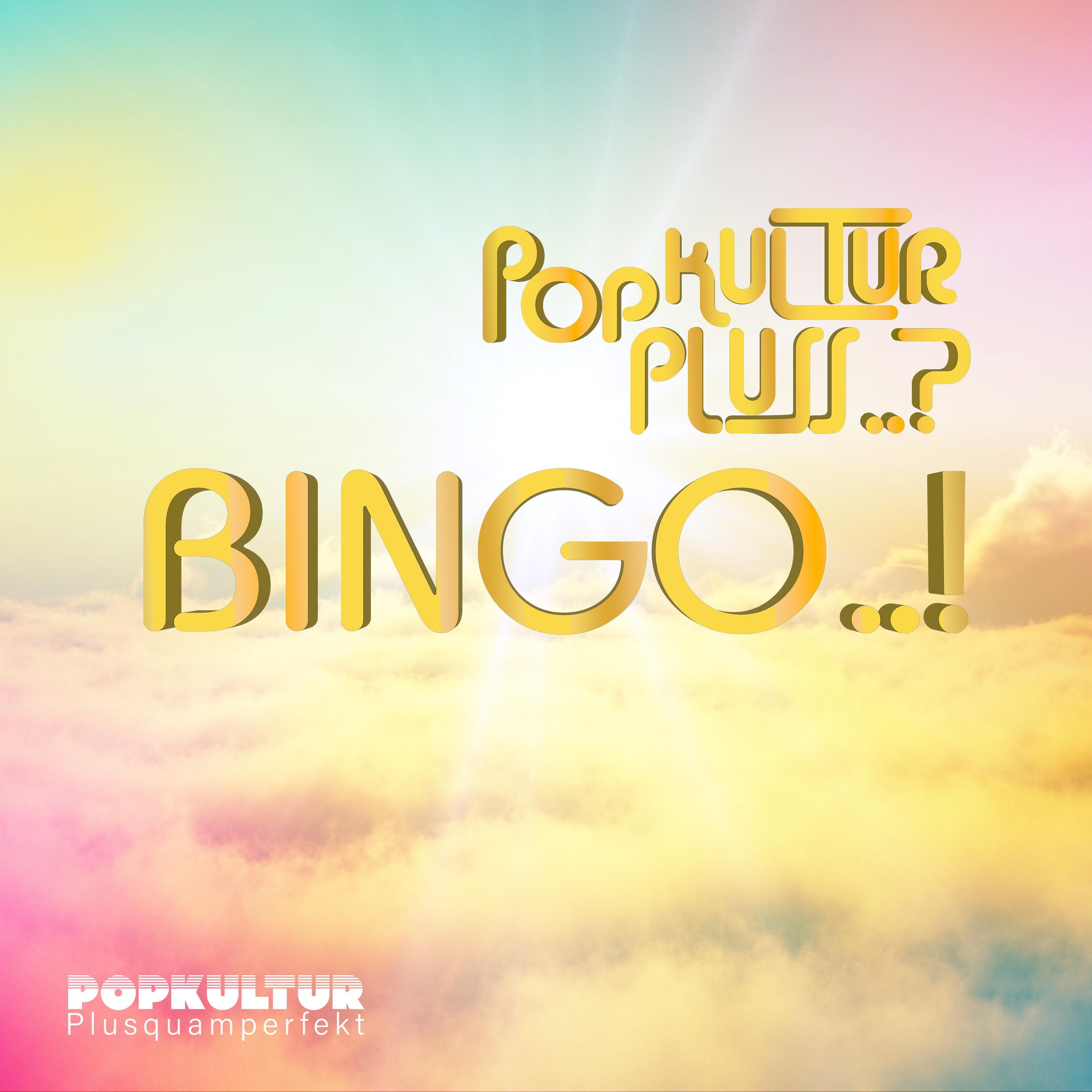 Das große Wetten, Dass.. ? Bingo!