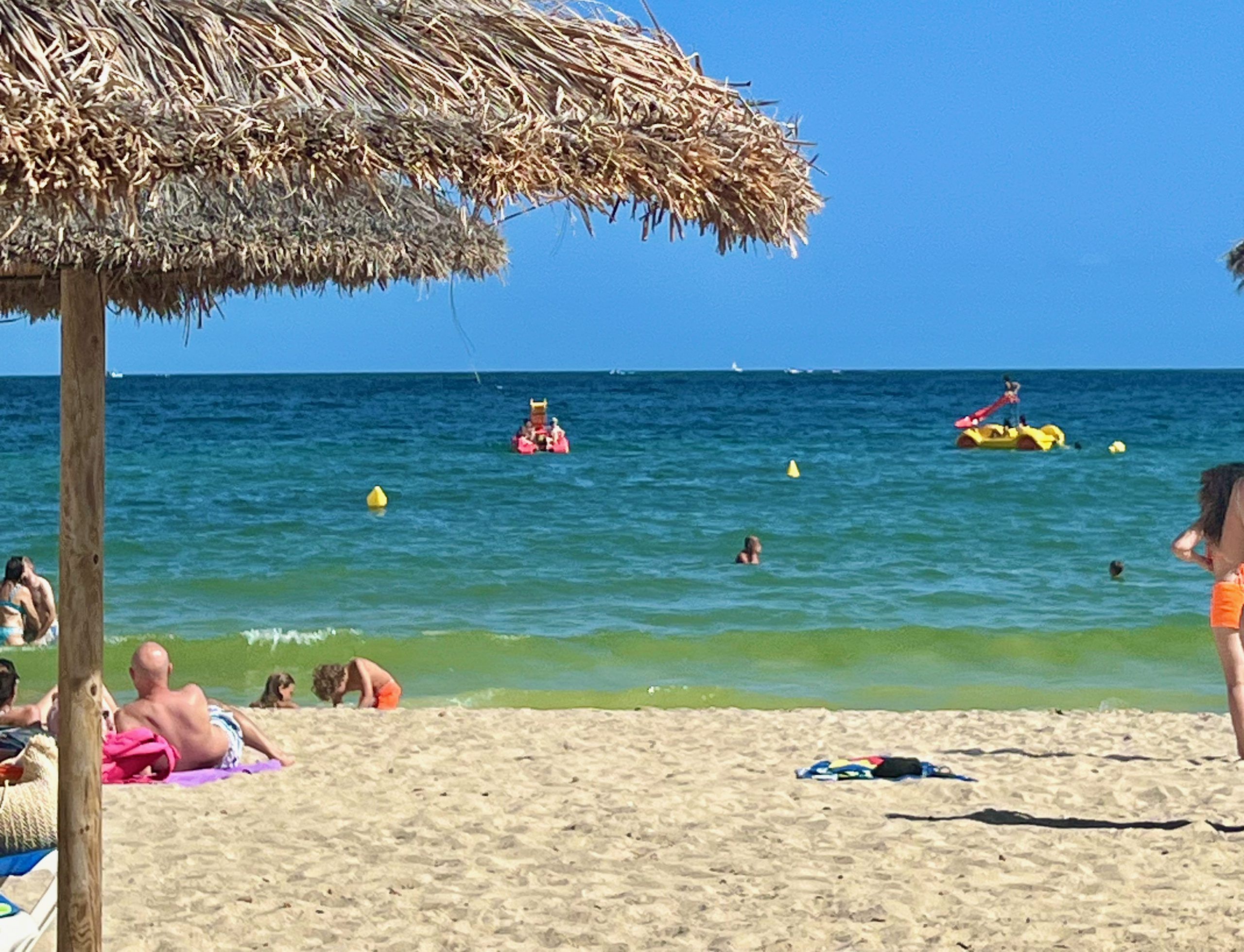 5 Minuten Mallorca | Nachrichten am 5. August 2026
