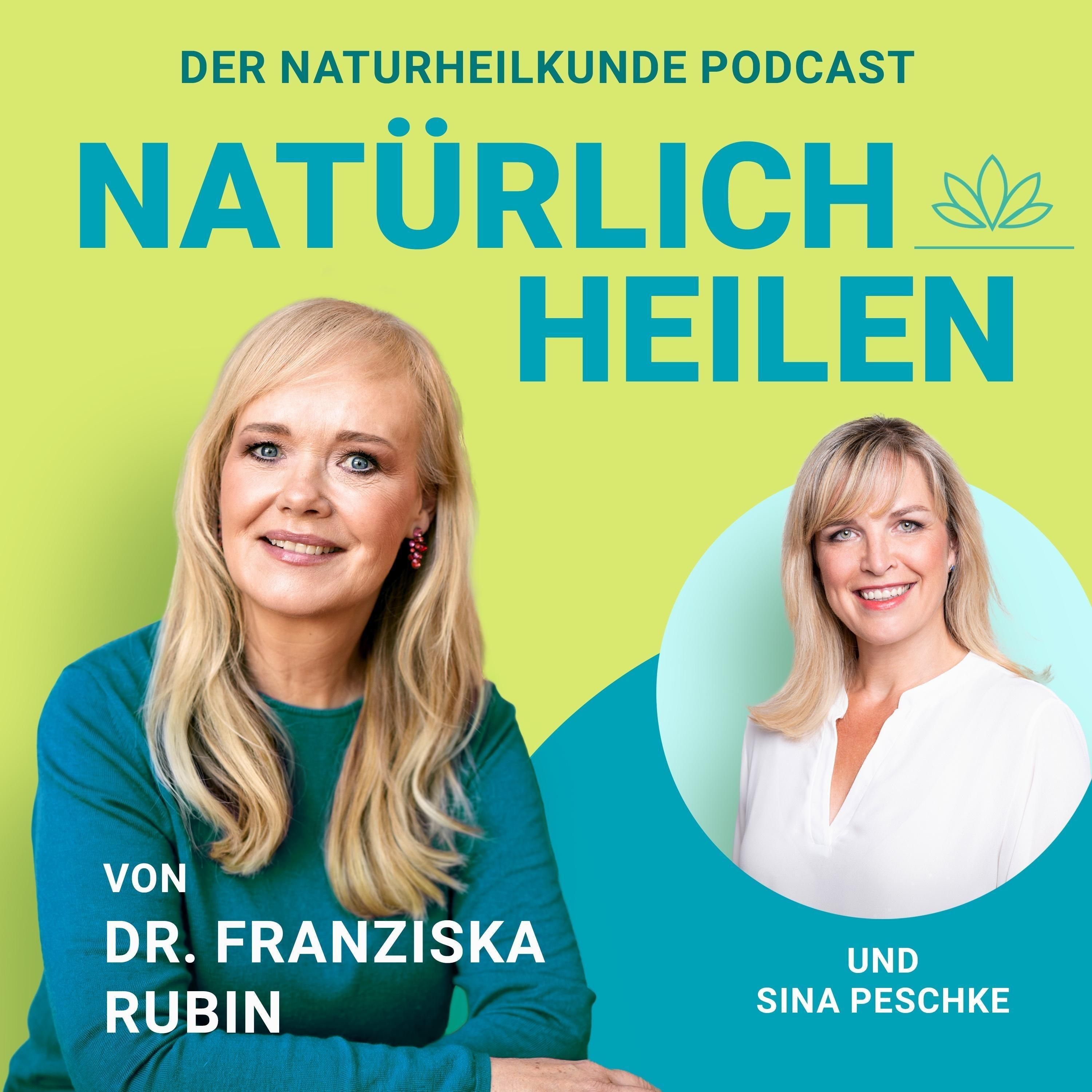 Heilen mit Pferden