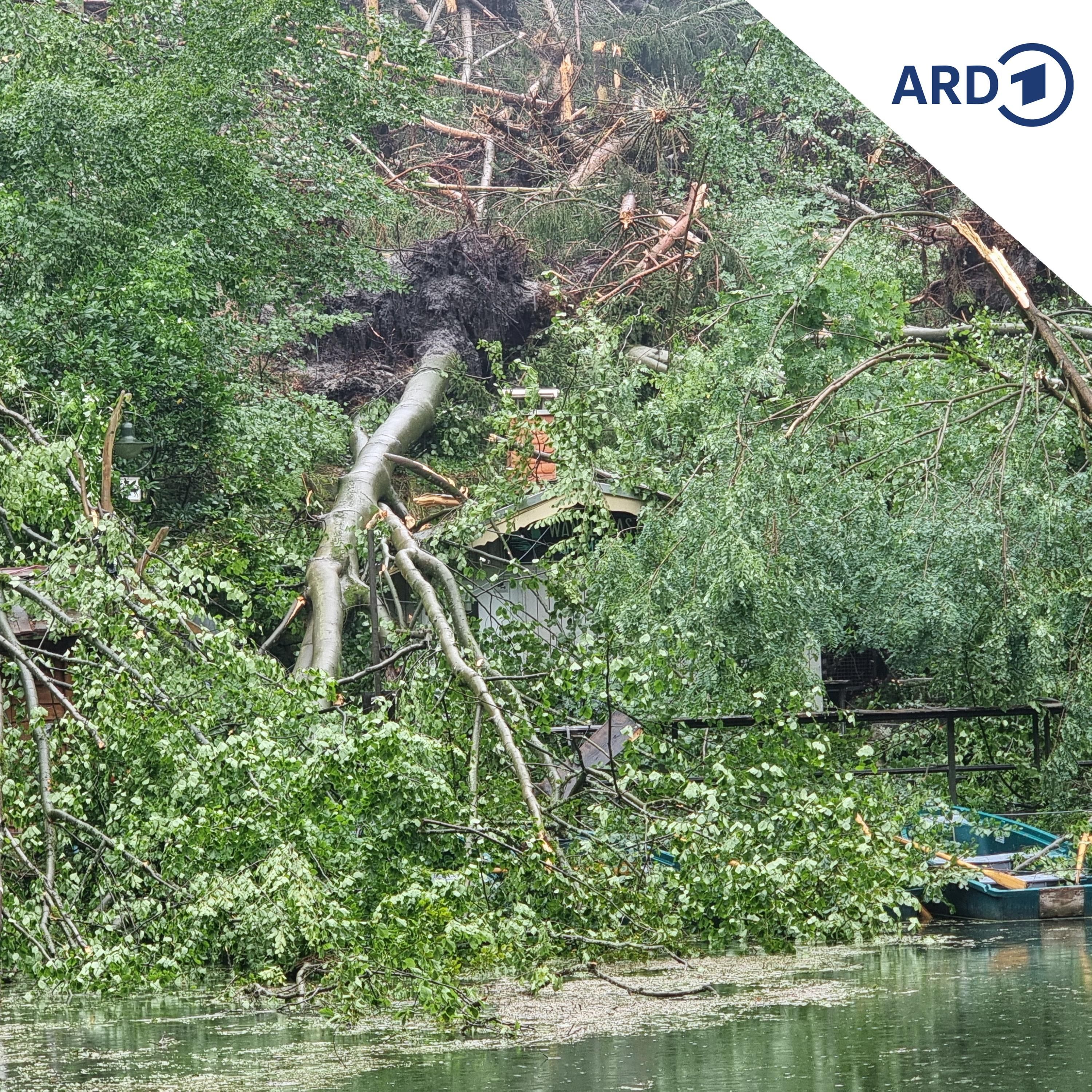 Unwetter in Rathen: Anfeindungen und Hass nach Spendenaktion