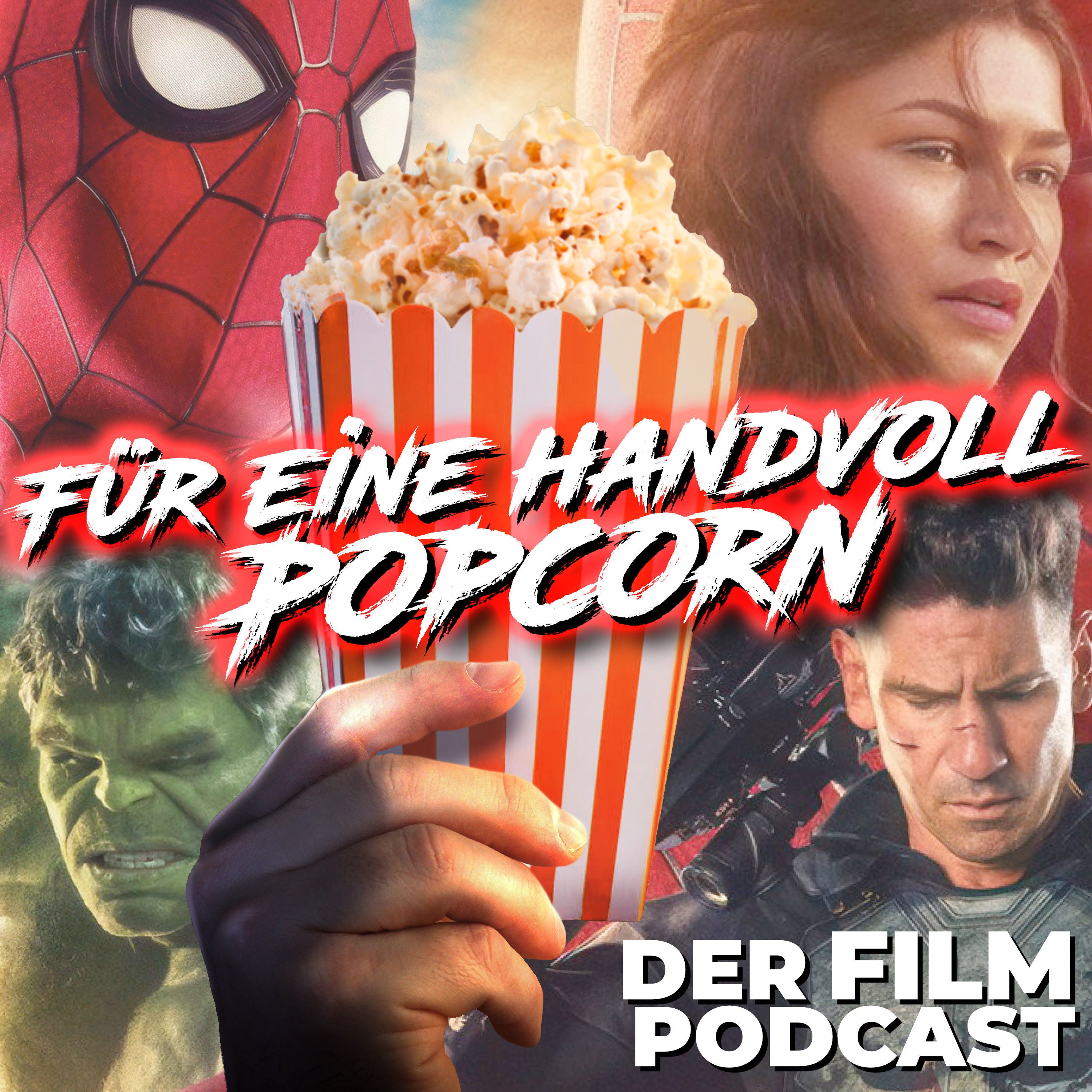 #223 - Qualen, Quallen und Boxoffice Rekorde (Spider-Man Brand New Day, Shelter, The Devils Mouth, Once, Batman Caped Crusader S2)