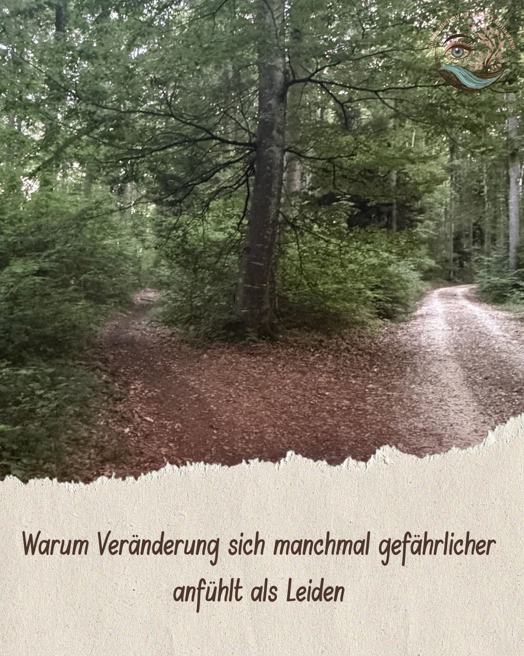 #23 Warum Veränderung sich manchmal gefährlicher anfühlt als Leiden