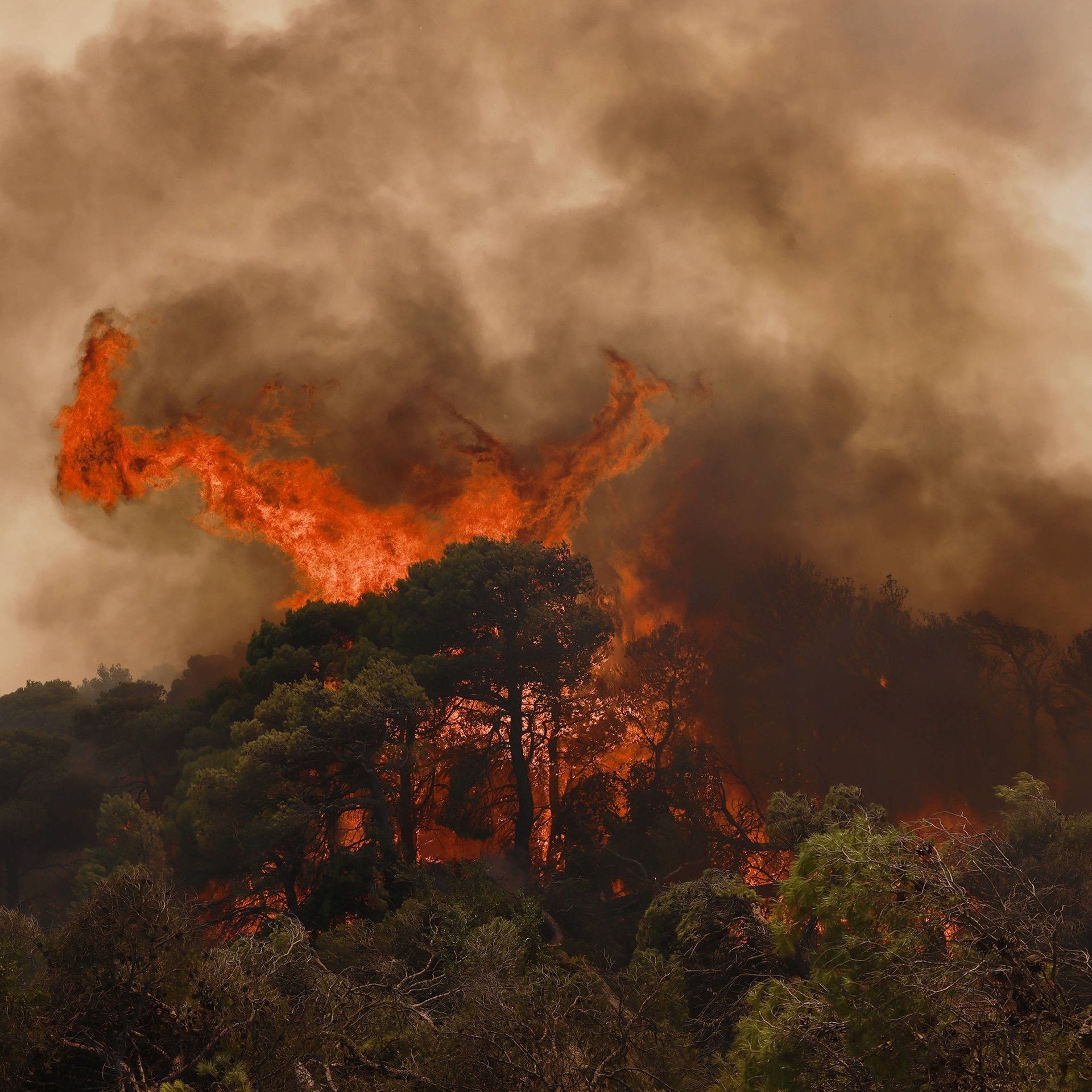 Waldbrand-Rauch bringt Aerosole nach Mitteleuropa