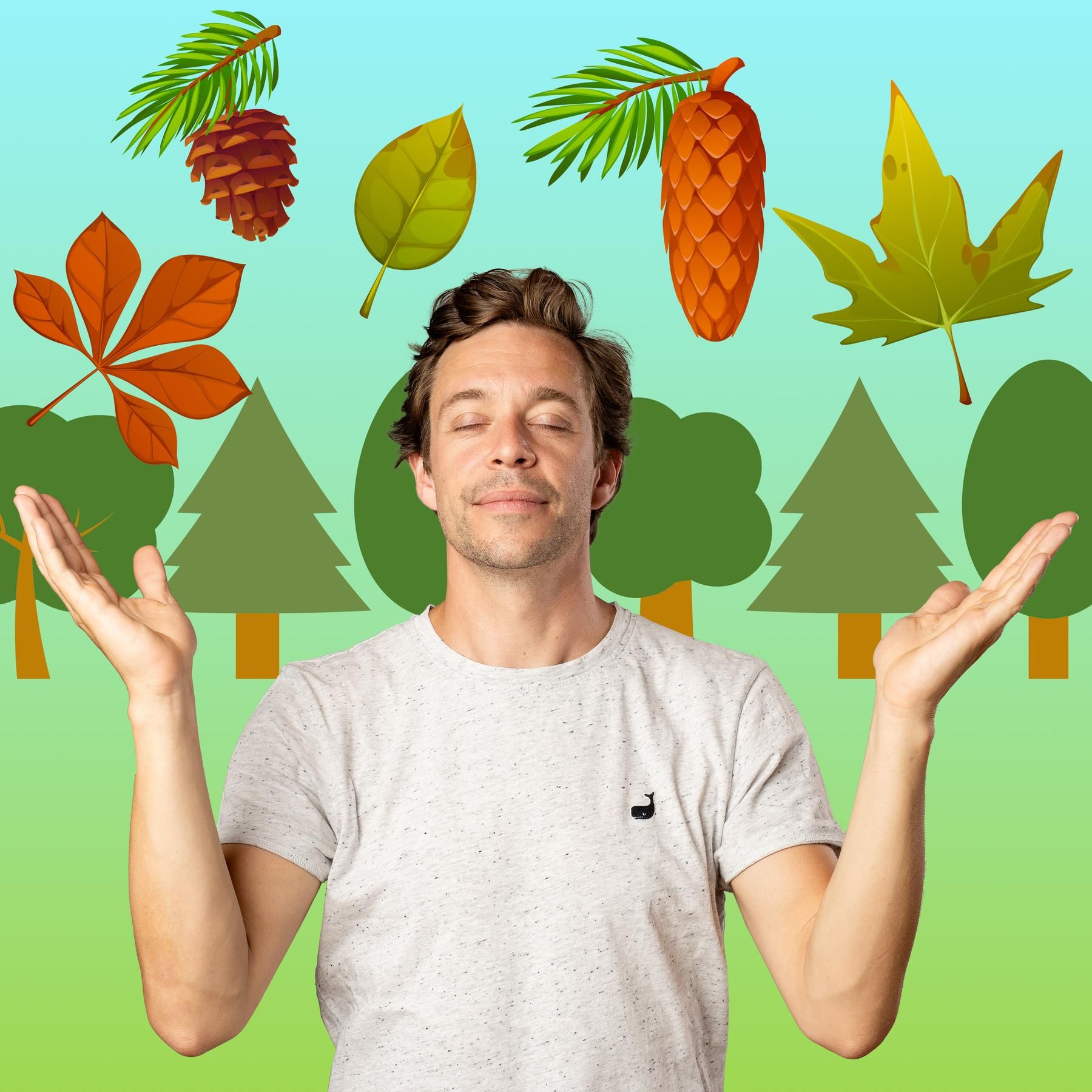 CheckPod Klassiker: Bäume | Über Bonsais und Mammutbäume