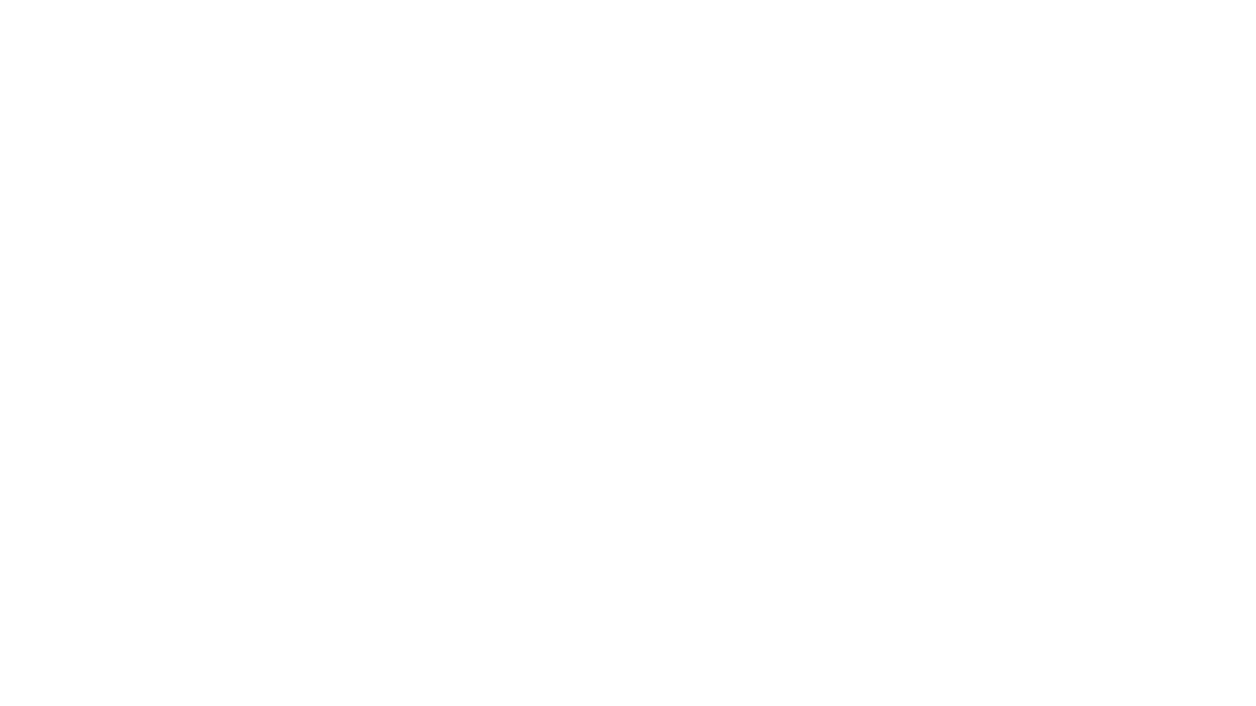 The 355