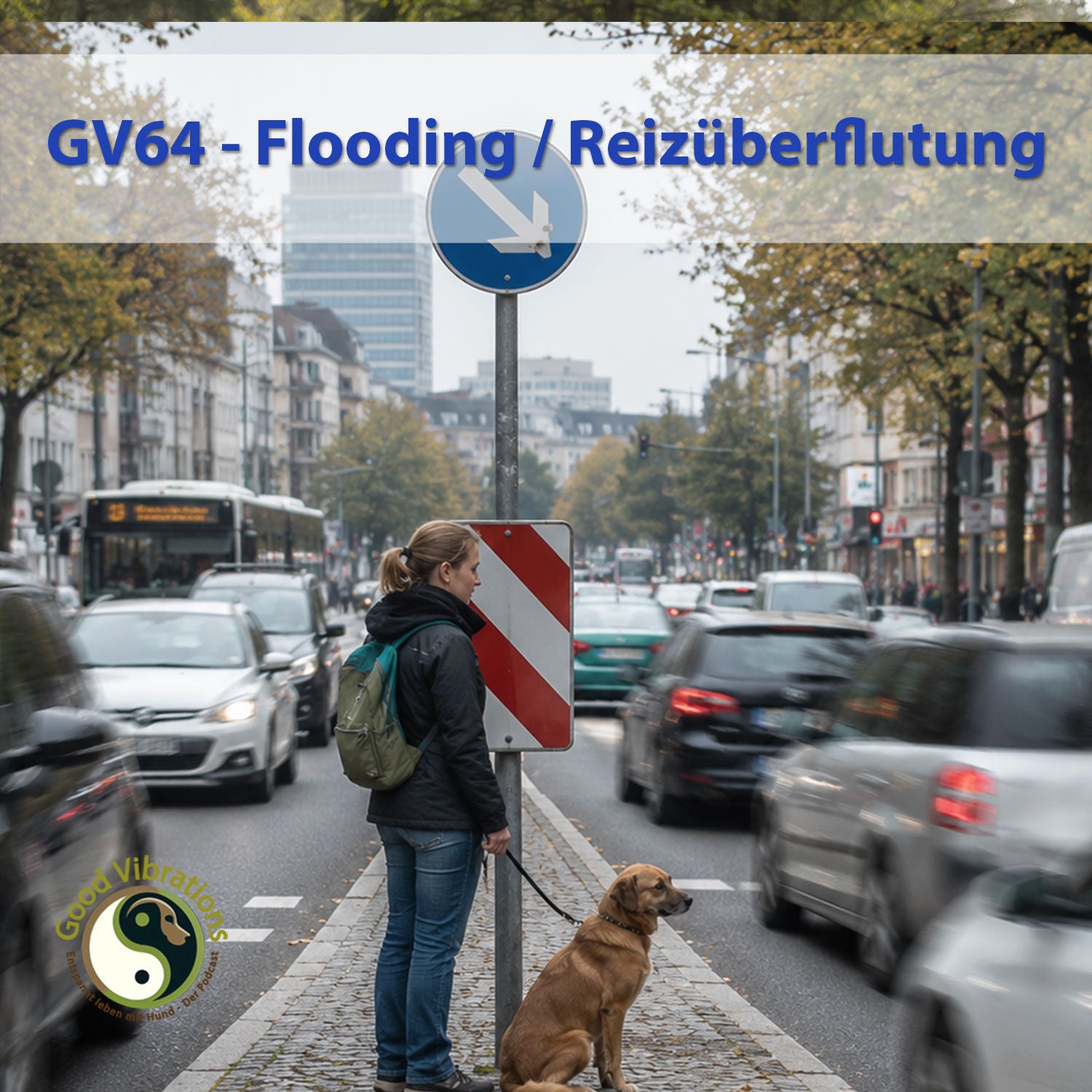 GV 64_Flooding