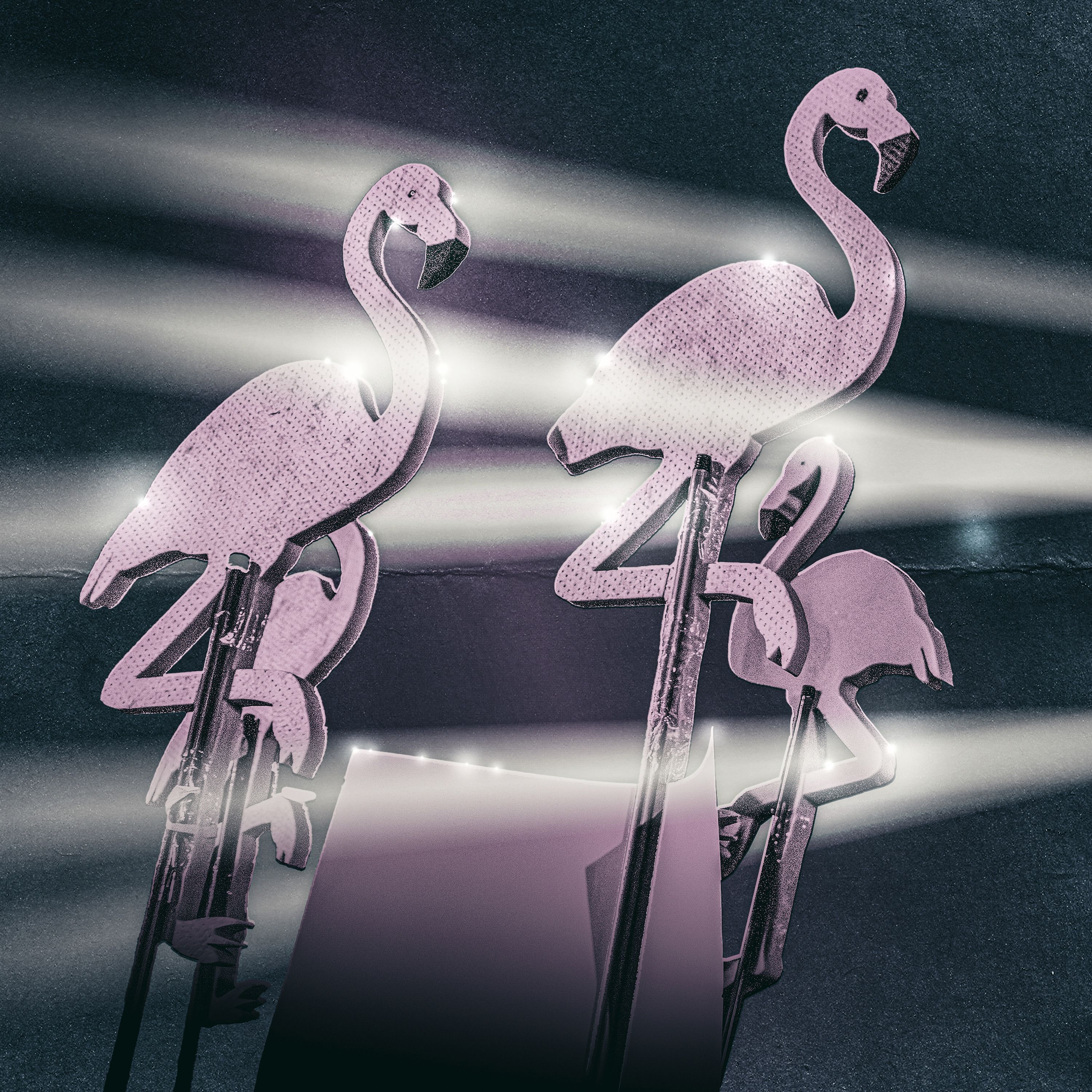 Die Flamingos kommen ("Mission Kanye" 2/5)