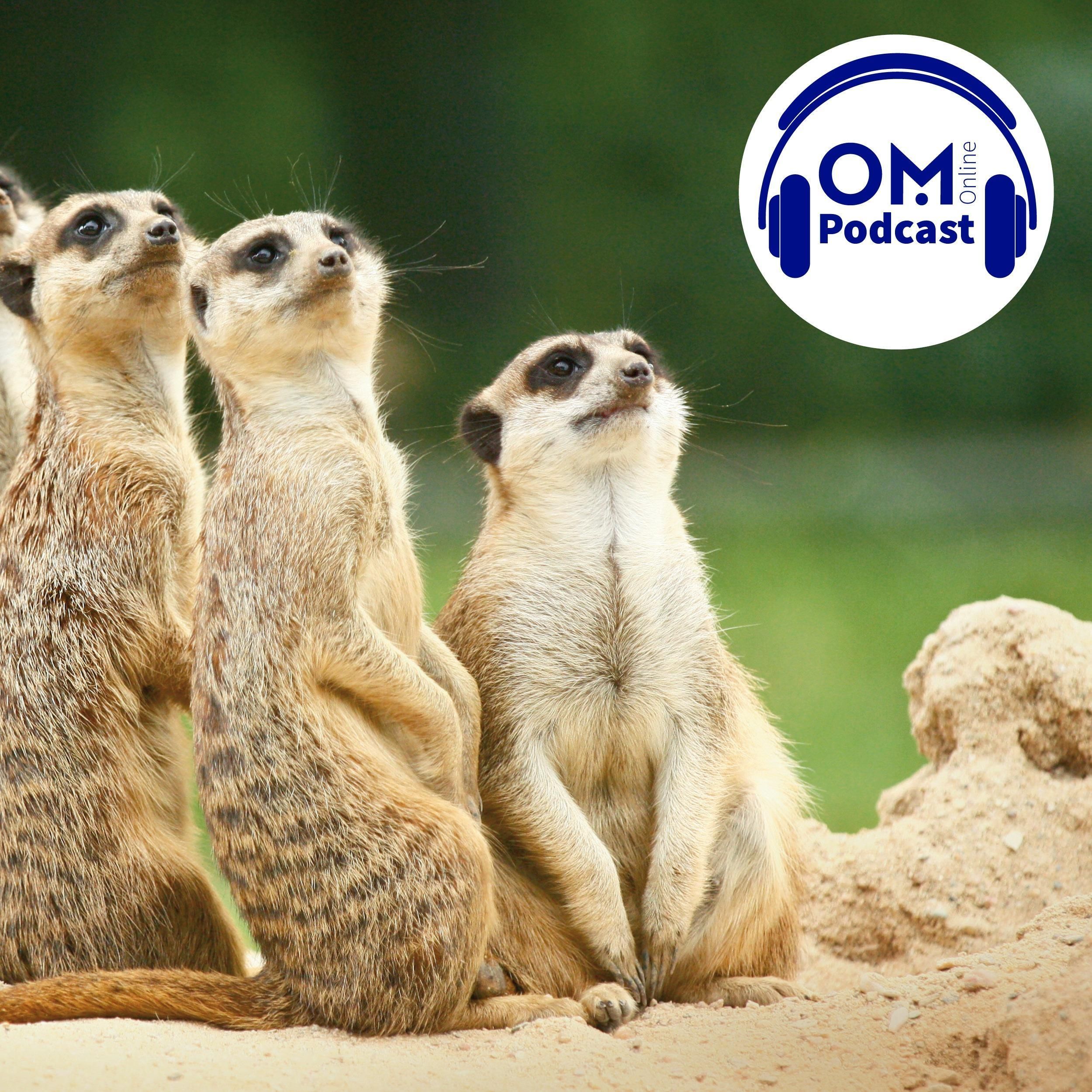 Tiere im Tierpark und der Winter - Episode 27