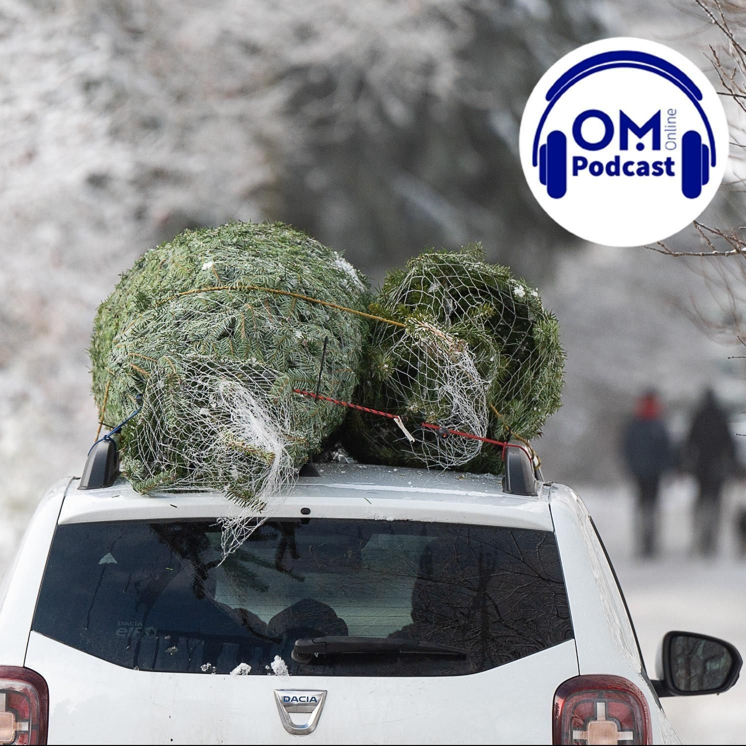 Weihnachten im Oldenburger Münsterland - Episode 32