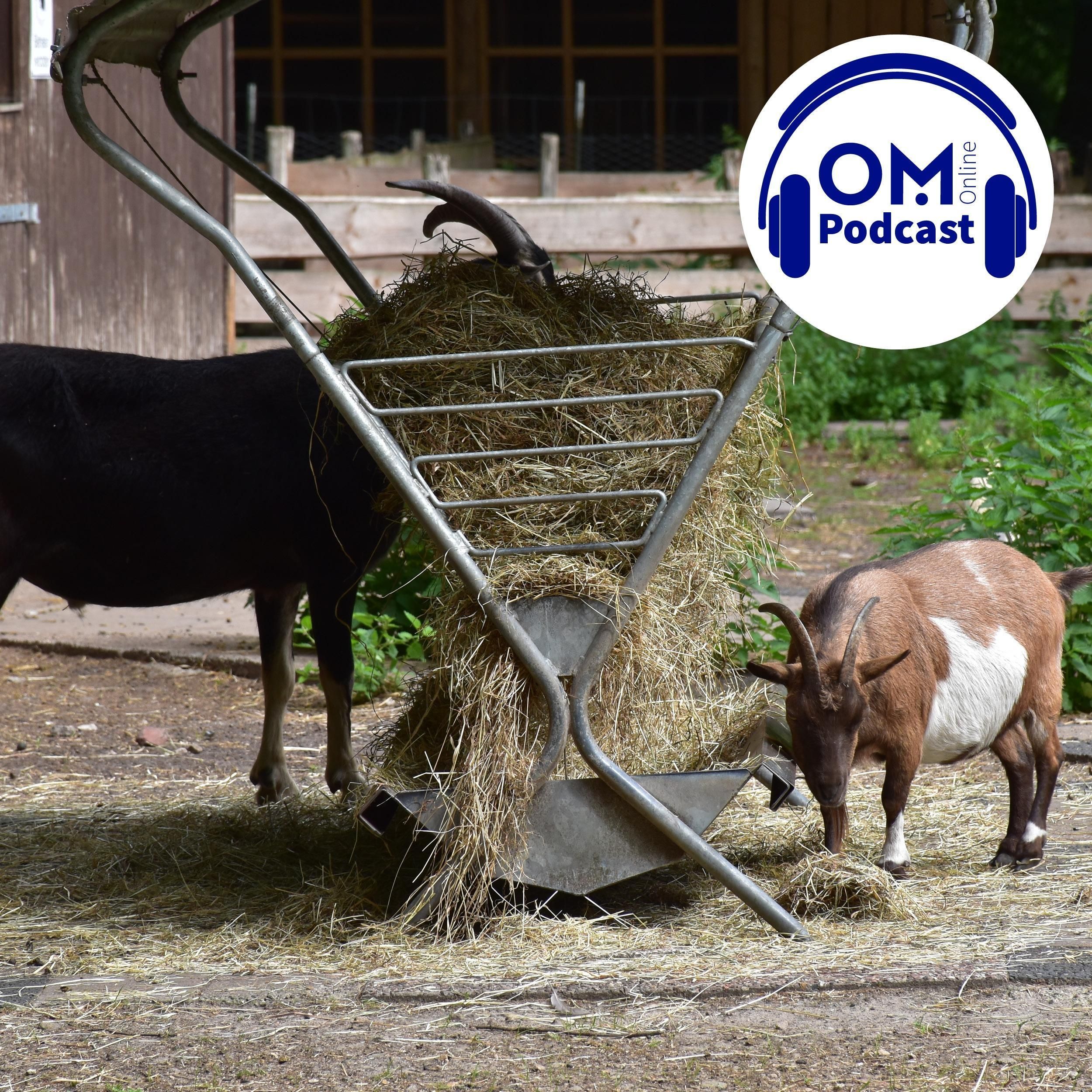 Was wird aus dem Wildpark Dinklage? Episode 64