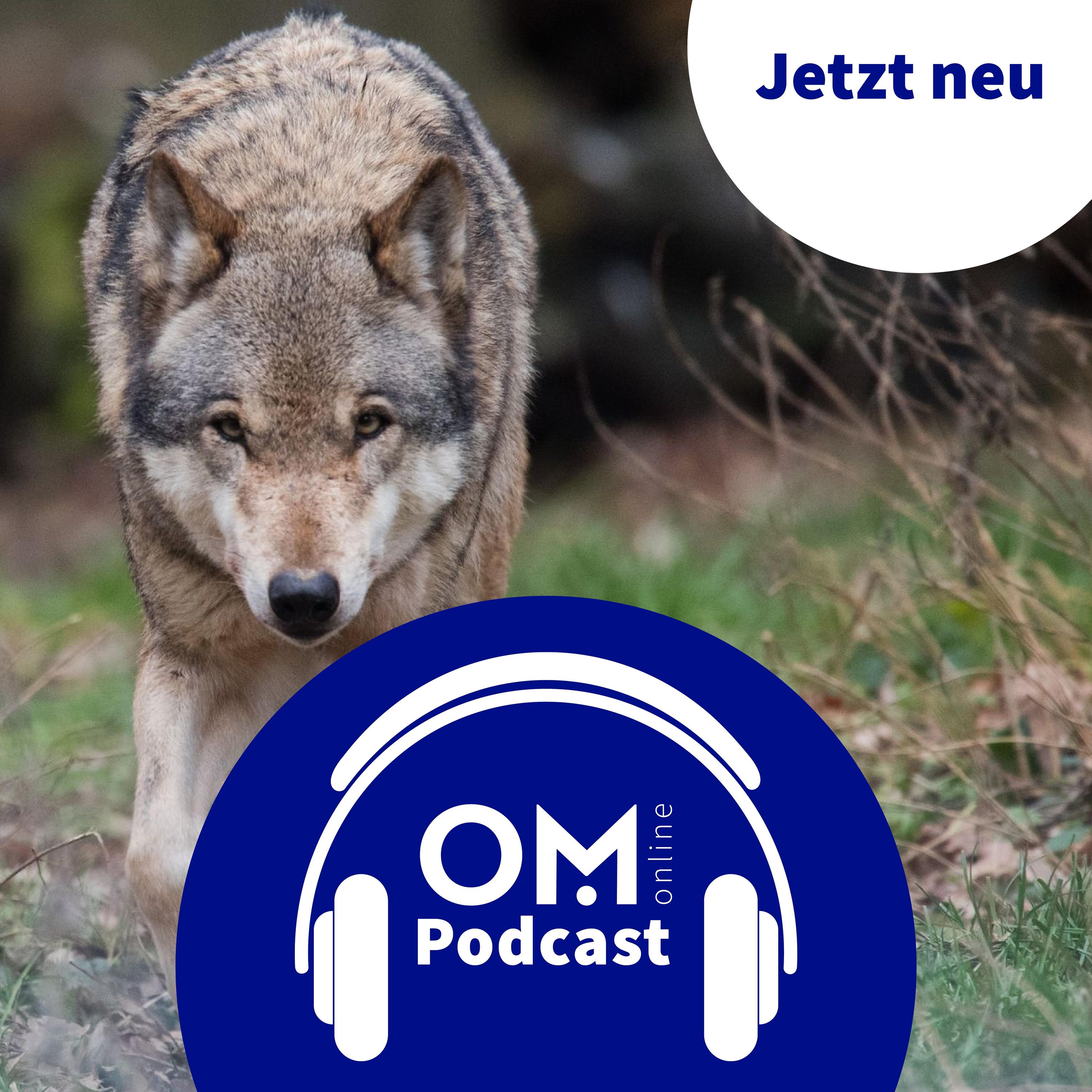 Der Wolf im OM - Episode 3