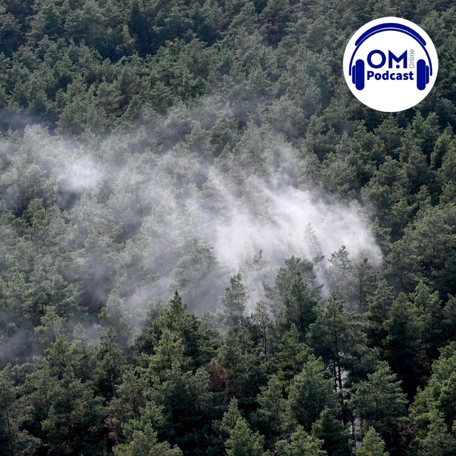Ein Funke genügt - Wie reagiert das OM auf die steigende Waldbrandgefahr - Episode 63