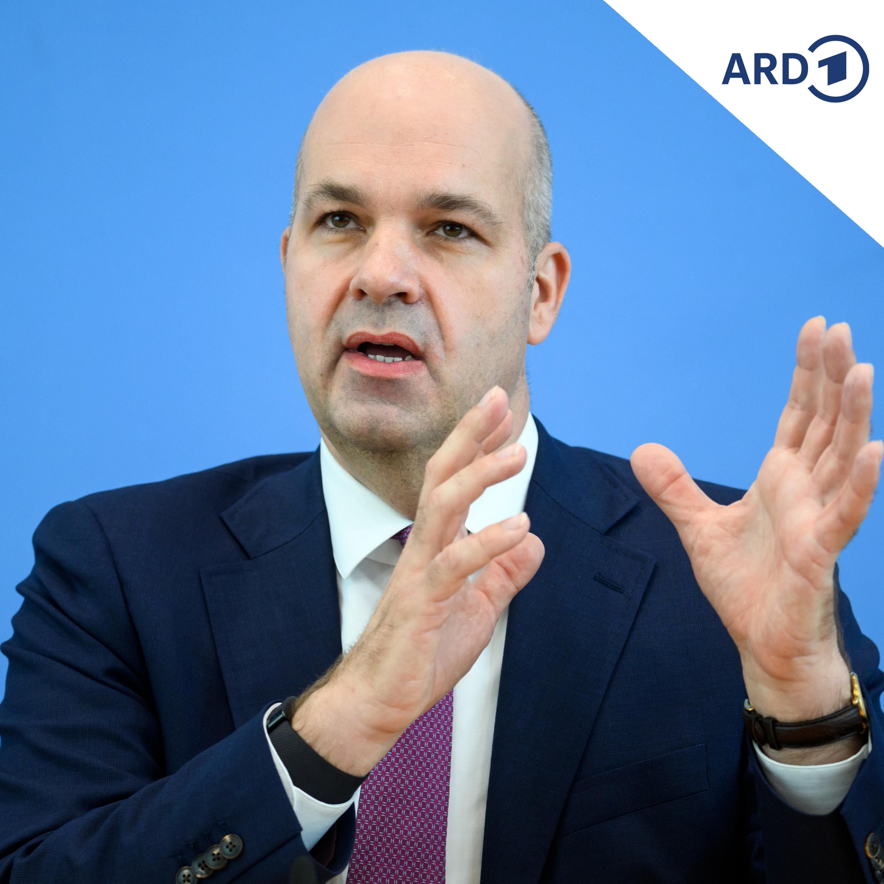 Neue Studie: Mit der AfD ginge es wirtschaftlich bergab