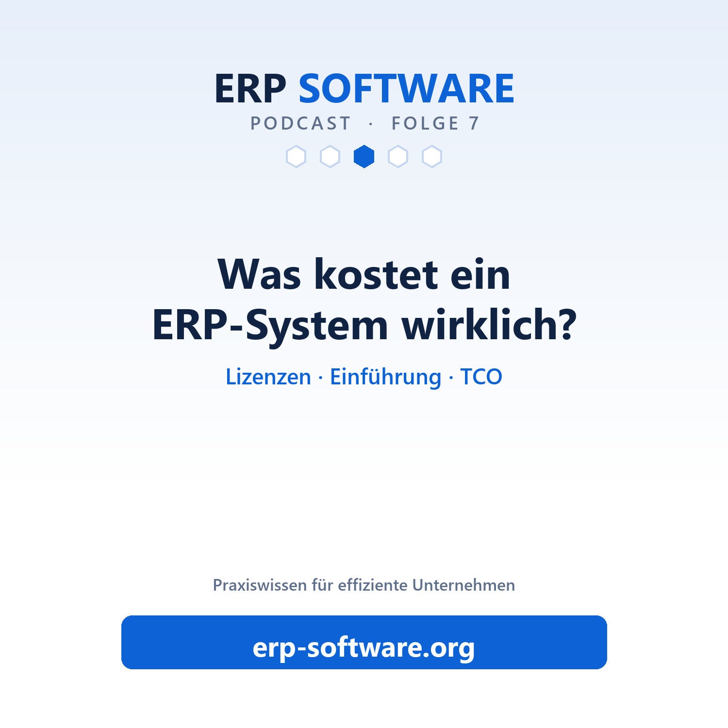 Folge 7: ERP-Kosten im Blick: was zwischen Lizenz und Betrieb wirklich anfällt