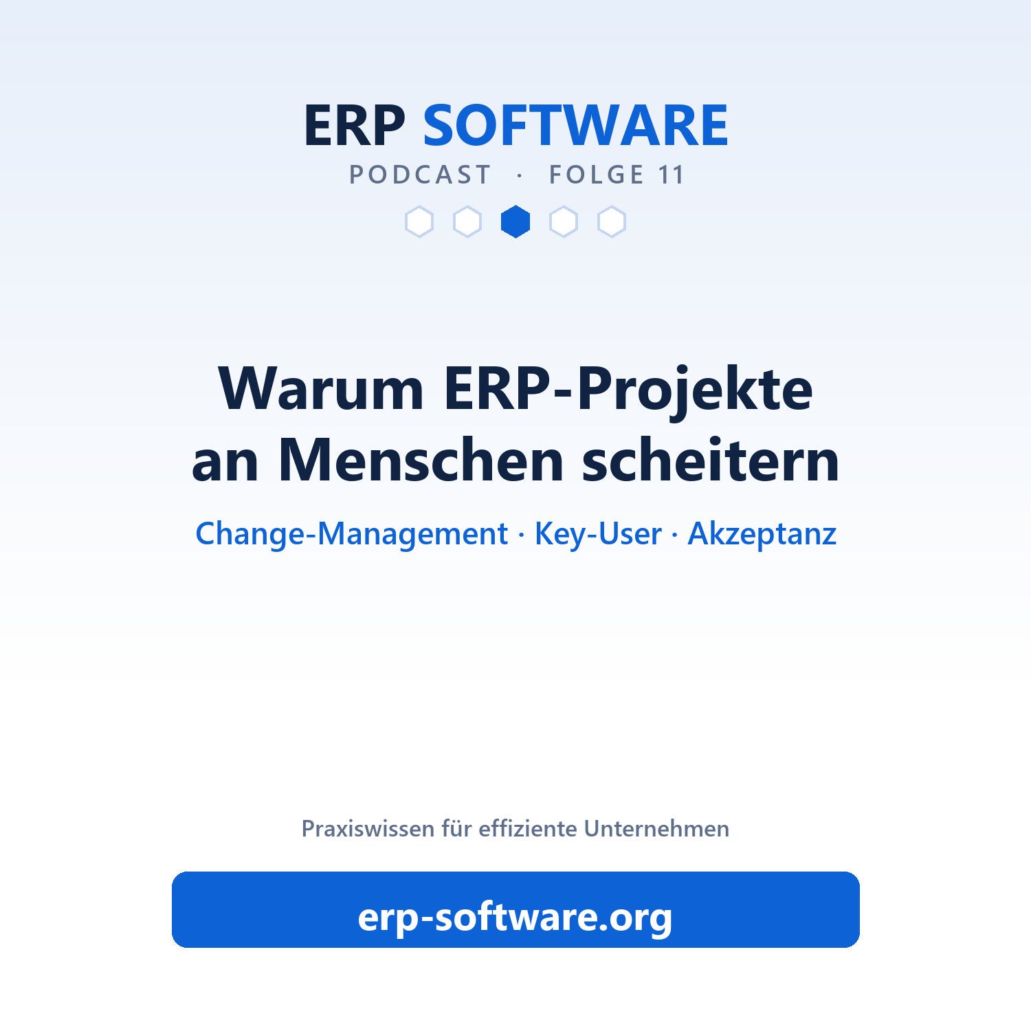 Folge 11: ERP-Projekte scheitern an Menschen: Widerstände in der Belegschaft
