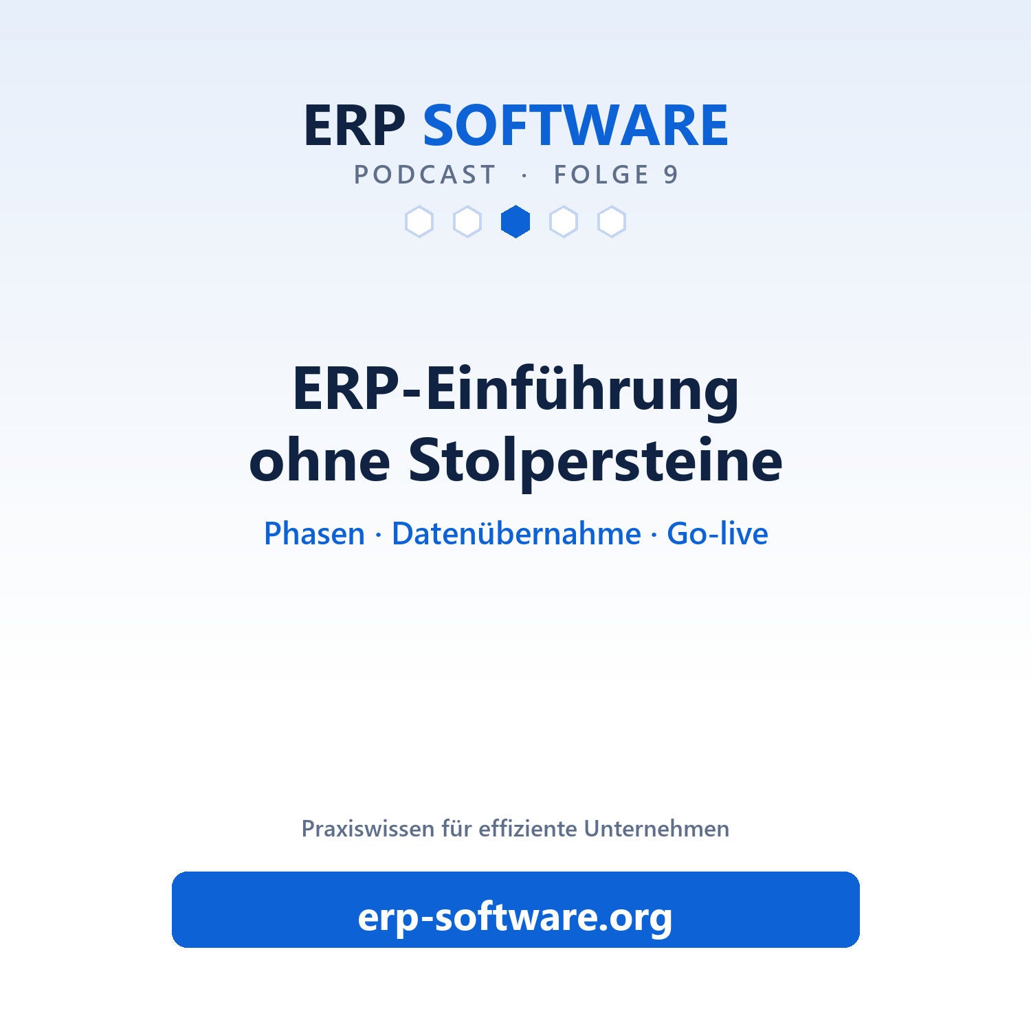 Folge 9: ERP-Einführung unter Zeitdruck: Datenübernahme, Go-Live und Team