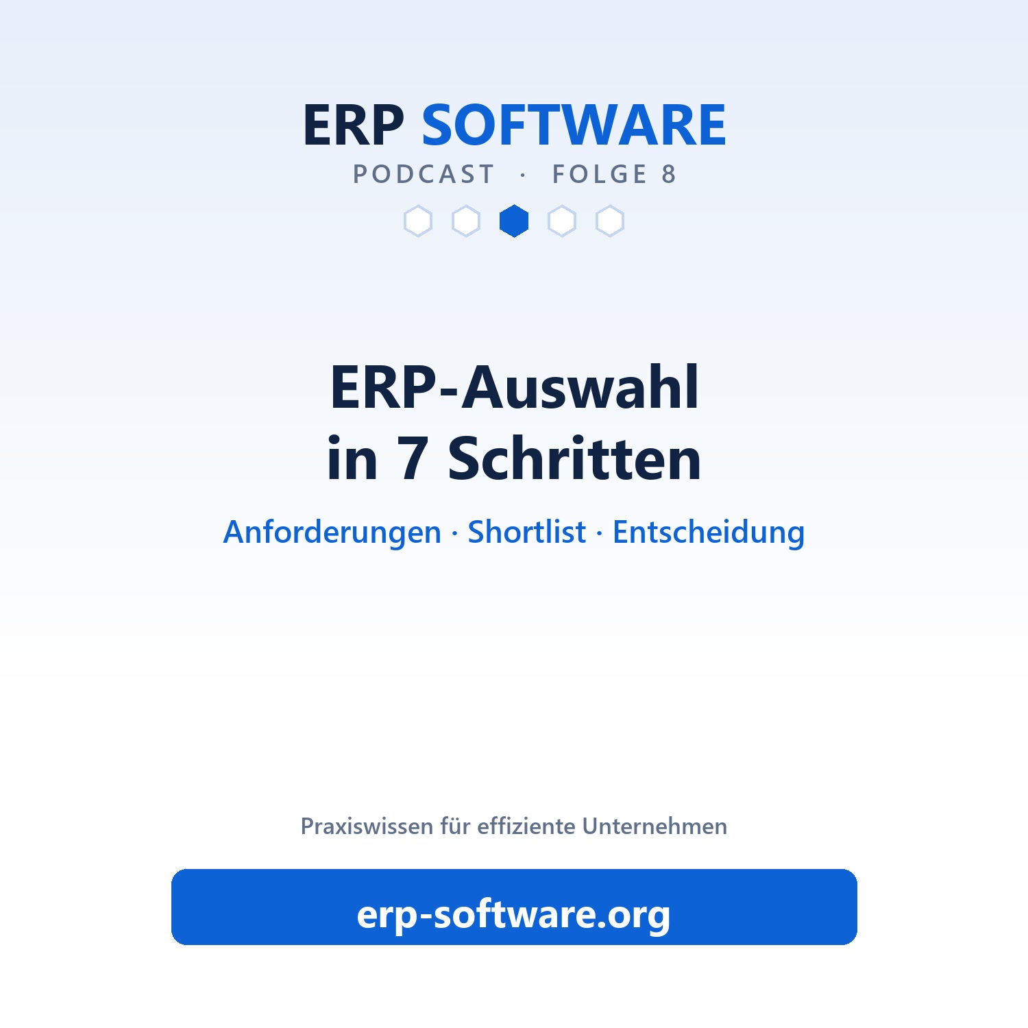Folge 8: ERP-Auswahl ohne Fehlgriff: Anforderungen, Zeitpläne und Vertragsfallen