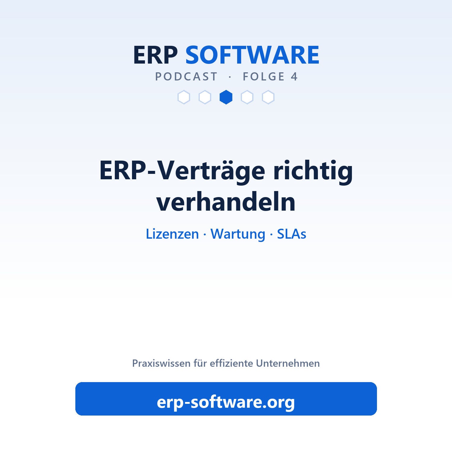 Folge 4: ERP-Vertrag am Verhandlungstisch: Lizenzen, Wartung und Preisklauseln