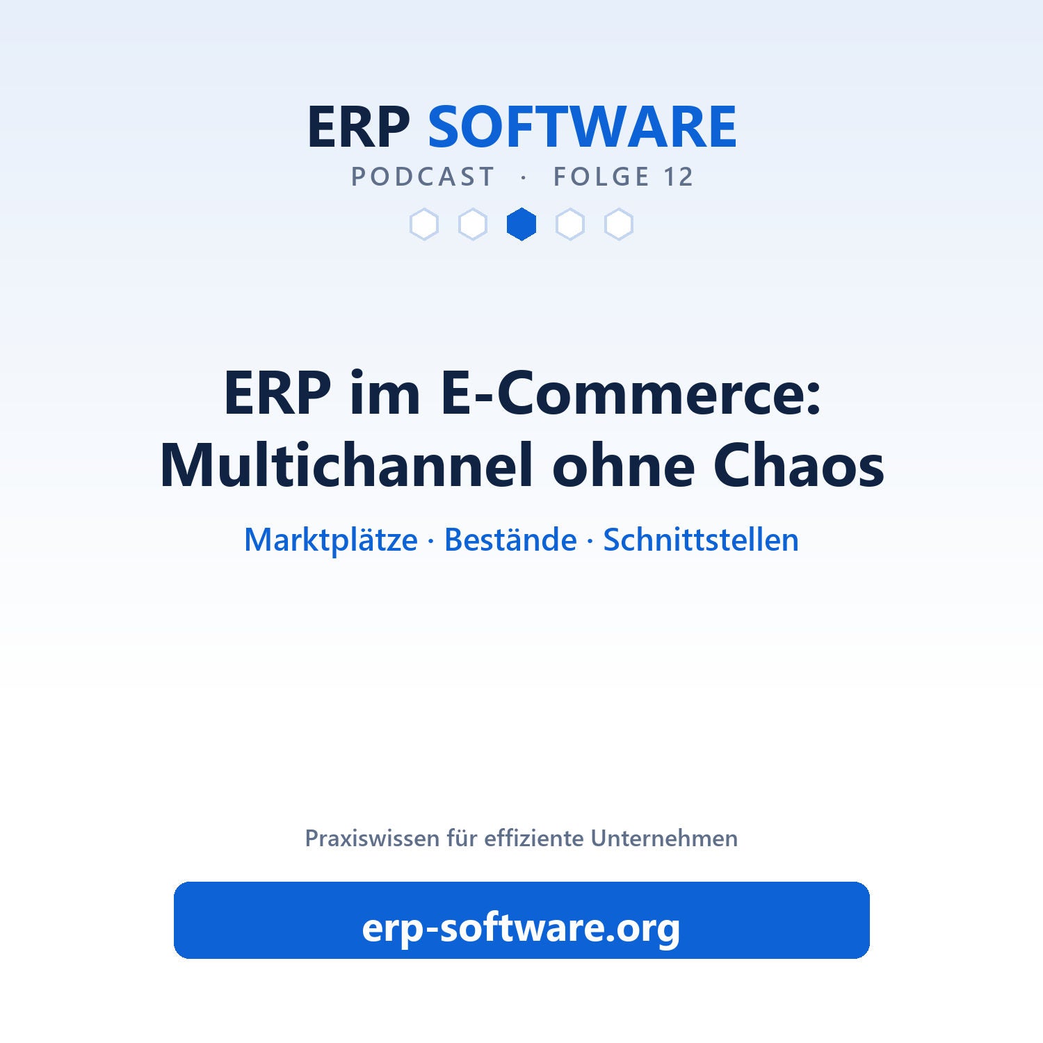 Folge 12: ERP im E-Commerce: Bestände über Shop, Marktplatz und Lager steuern