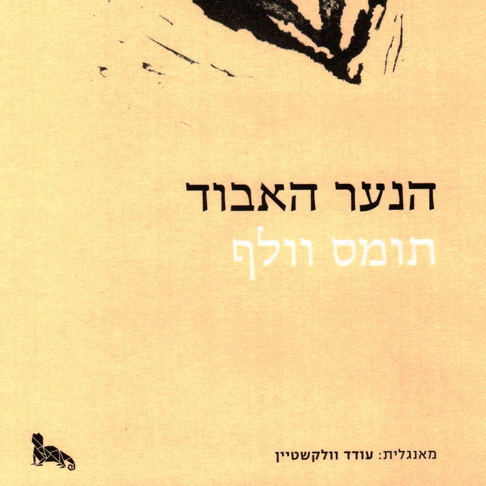 הנער האבוד
