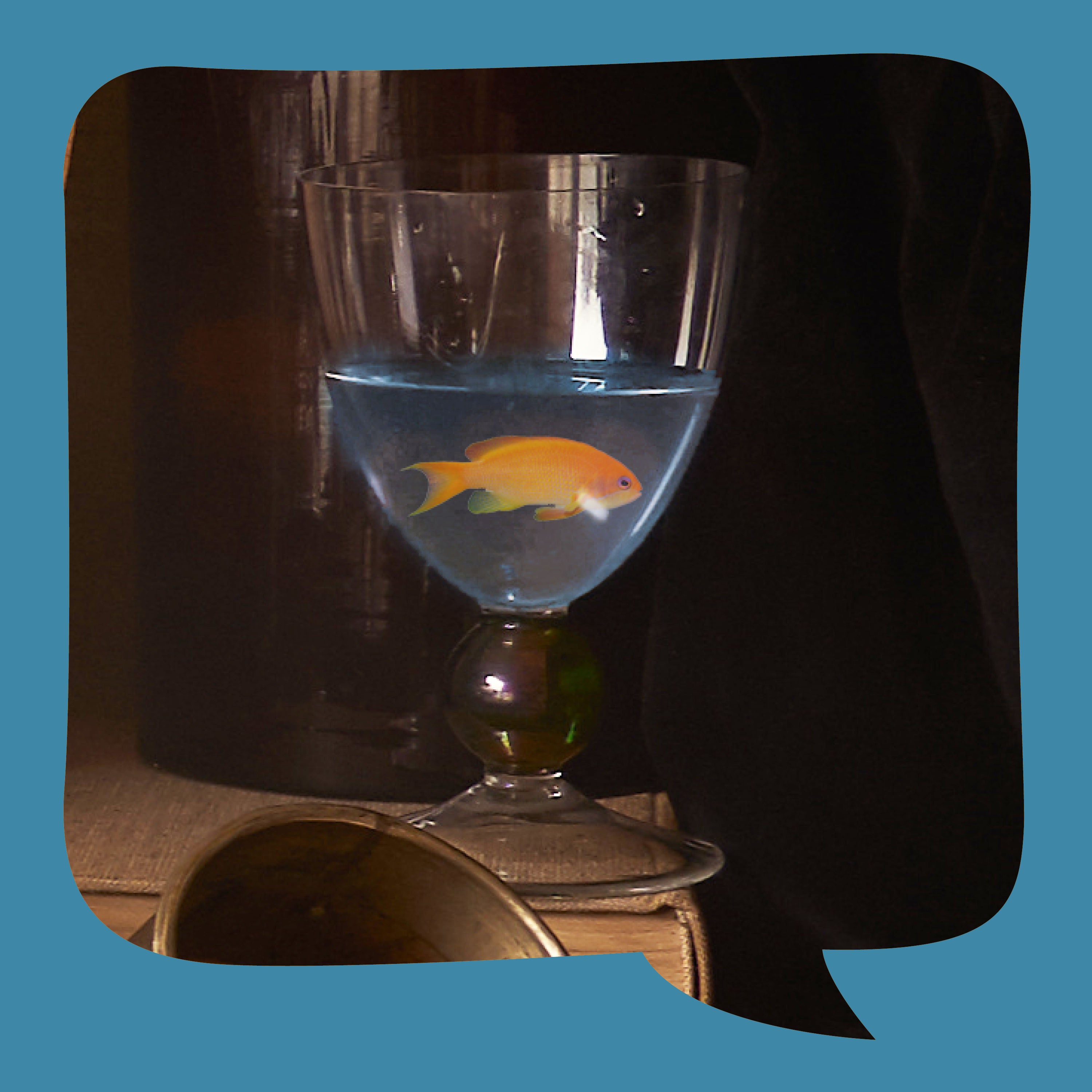 Kleiner Fisch | nach Josef Haltrich | erzählt von Suse Weisse