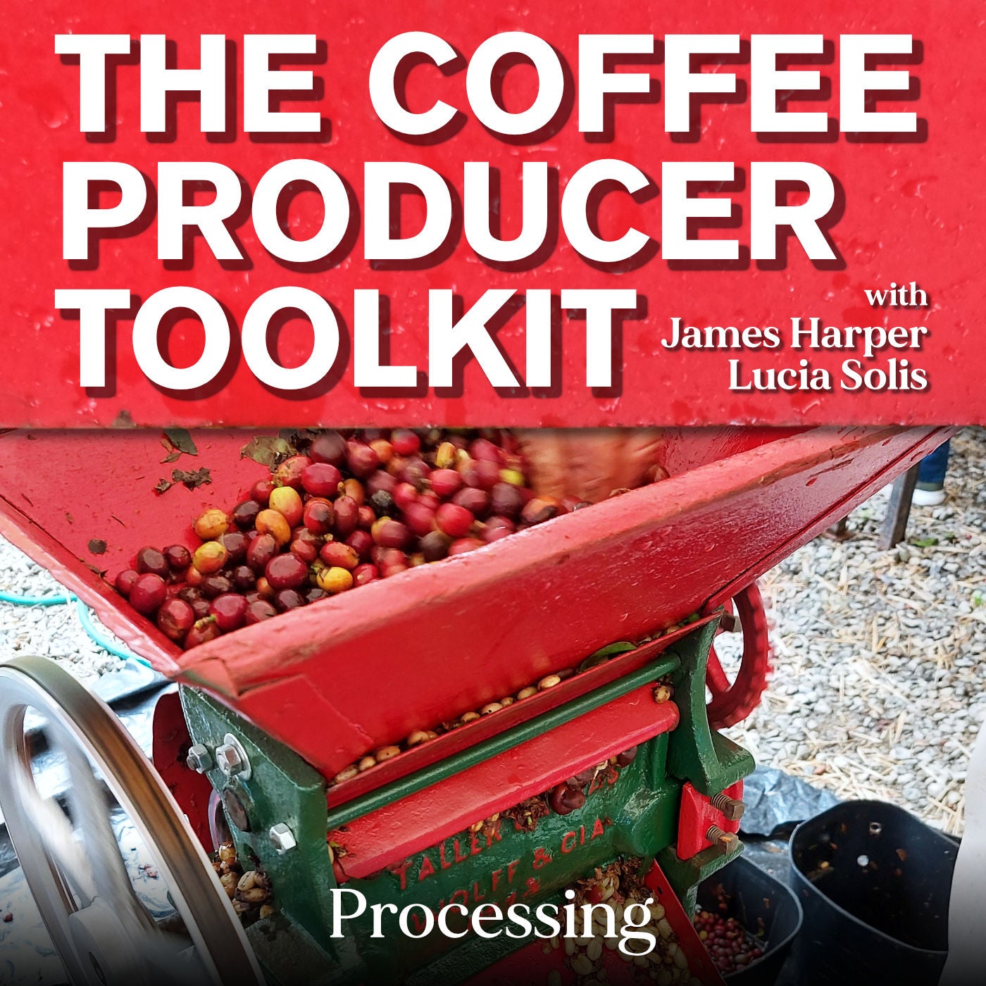 Farming: Drying mistakes that ruin coffee quality
