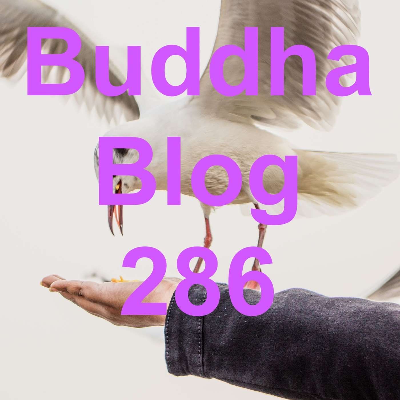 286- Illusion der Trennung - Buddha Blog - Buddhismus im Alltag