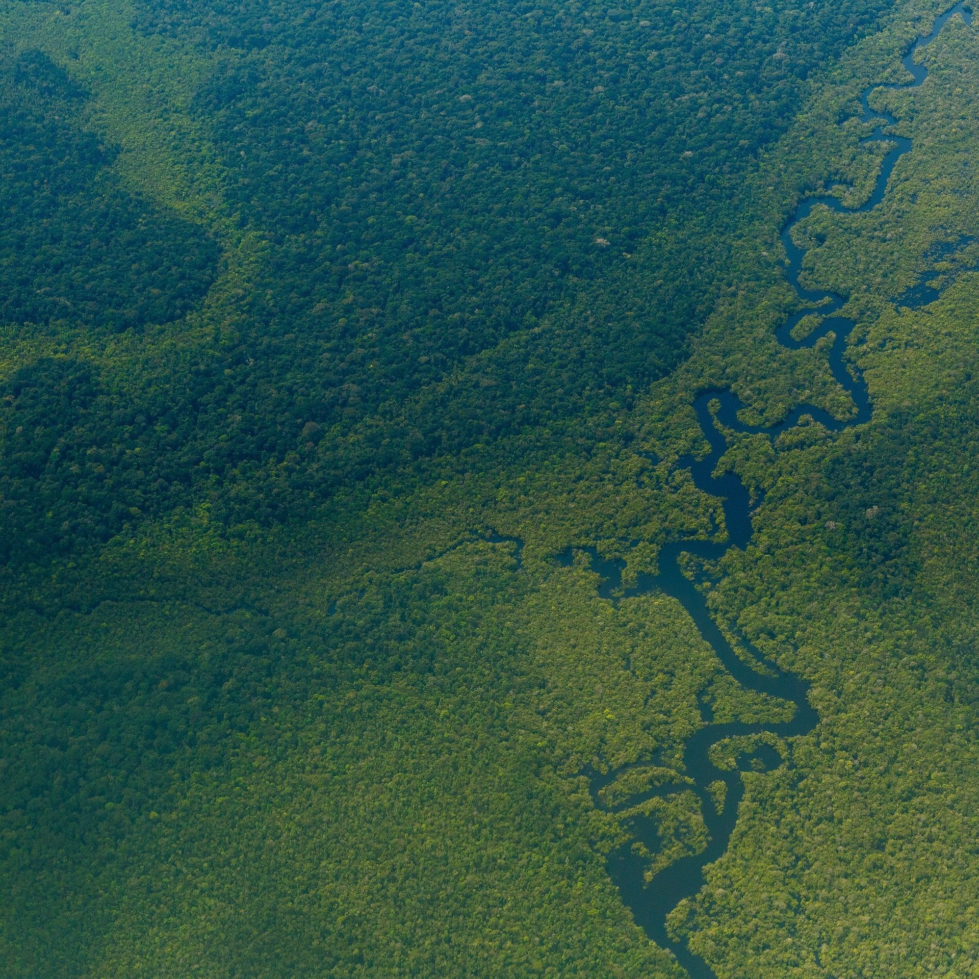 Wie indigene Wächter den Regenwald überwachen