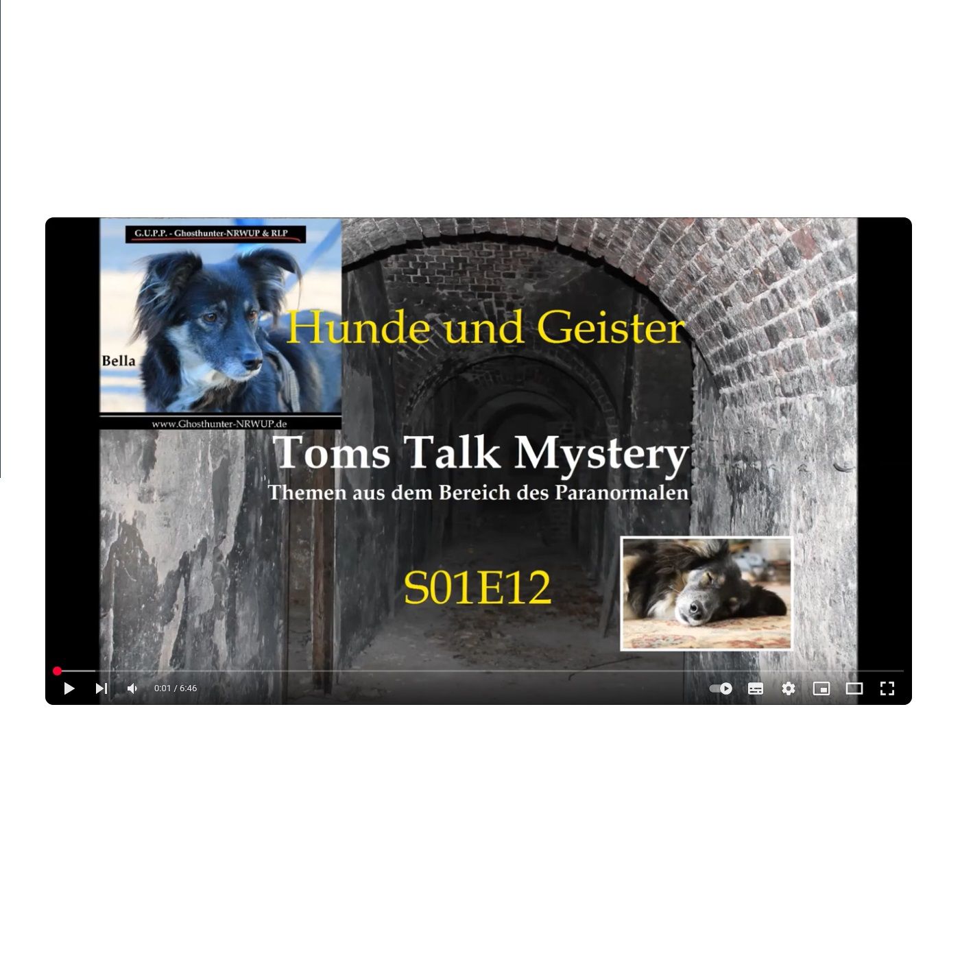 Hunde und Geister