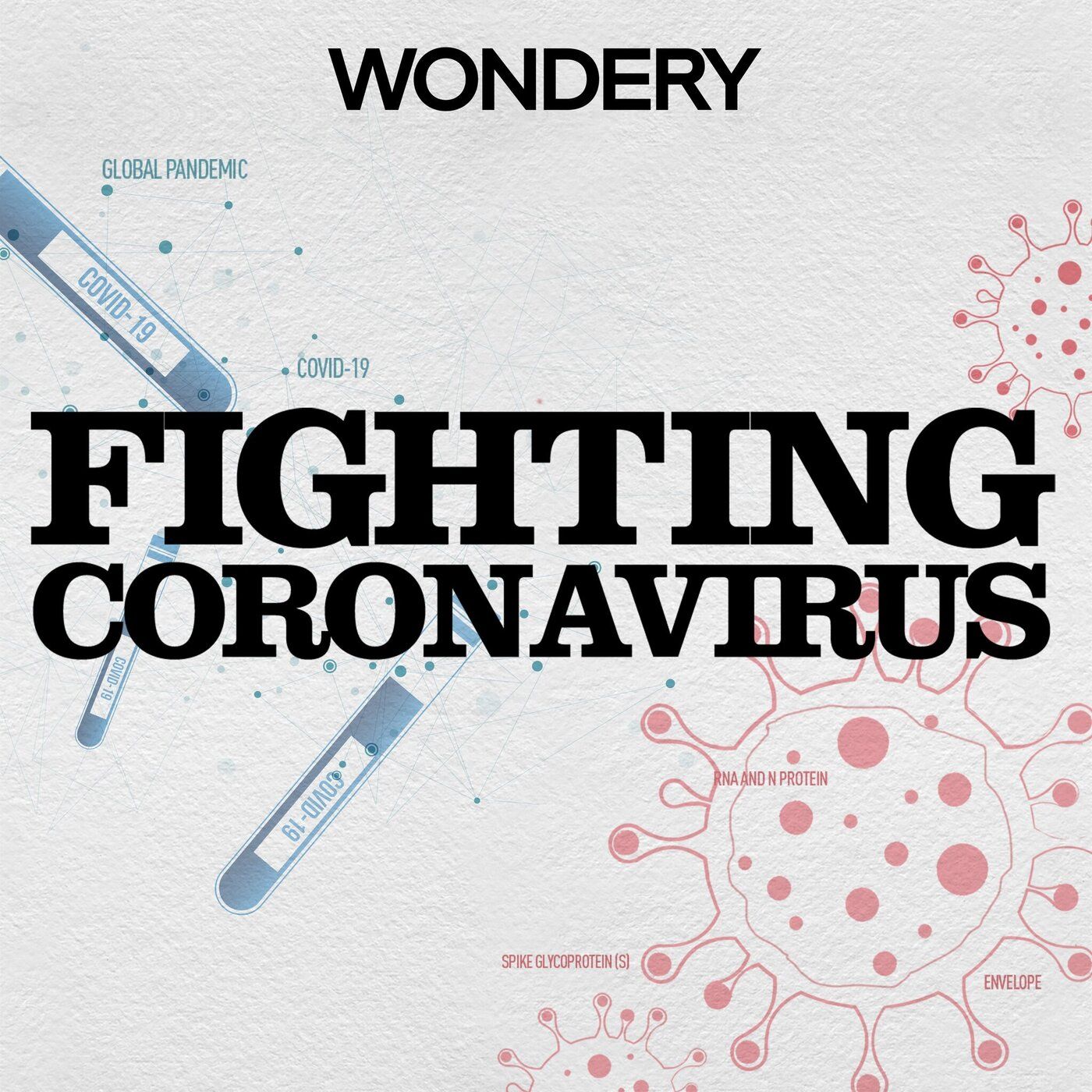 Introducing Fighting Coronavirus