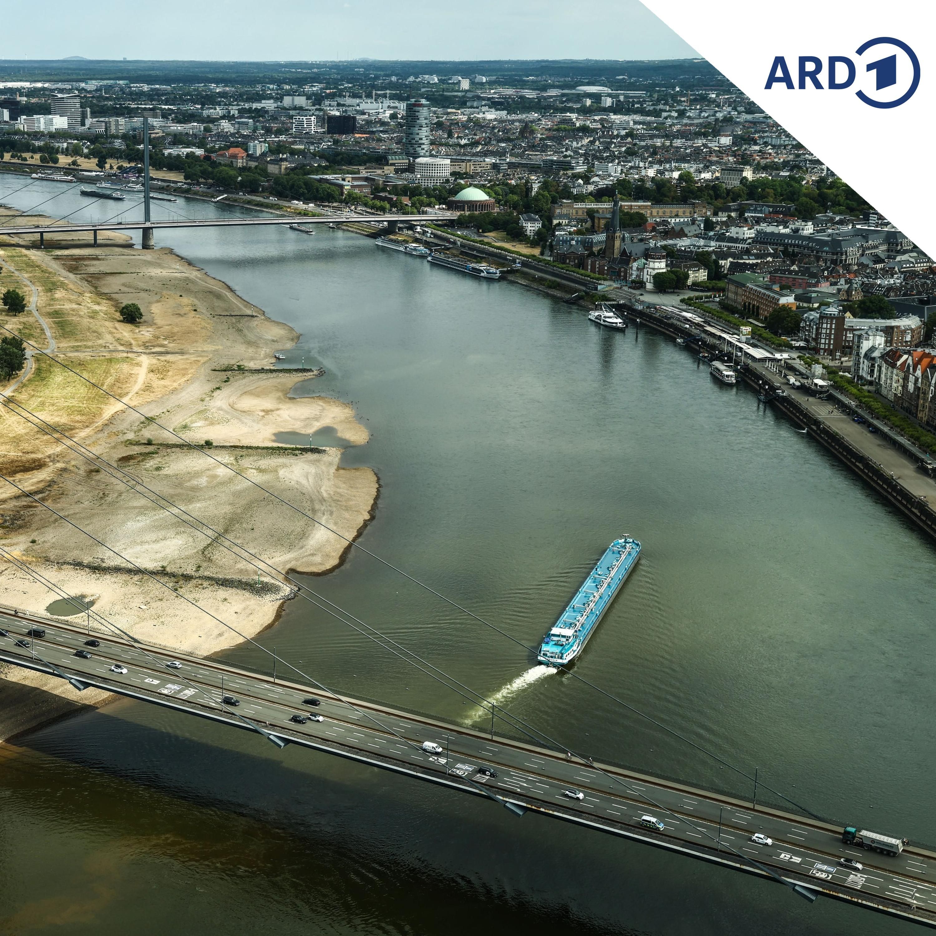 Niedrigwasser: Aufhebung des LKW-Fahrverbots am Sonntag sinnvoll?