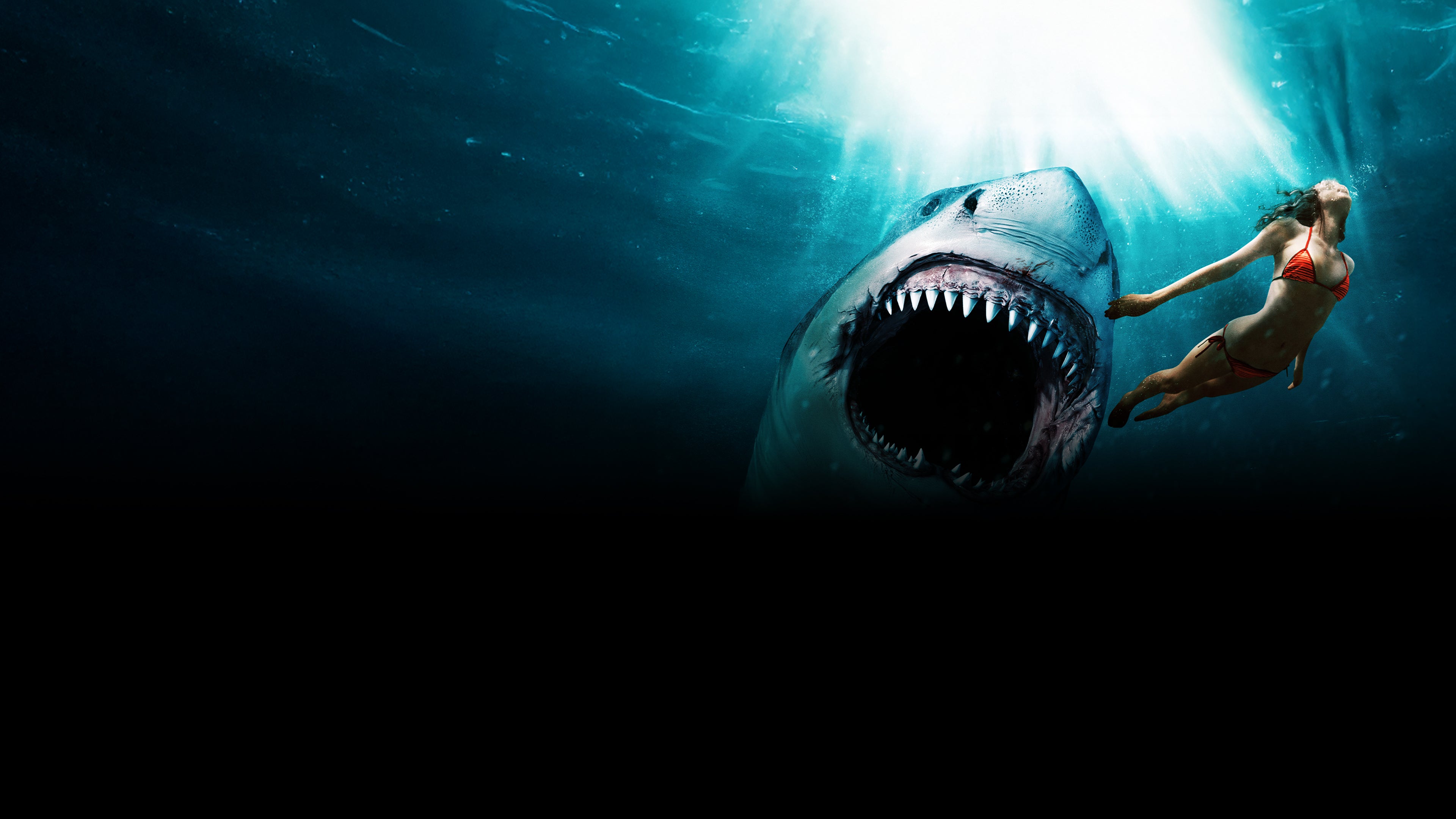 Shark Bait