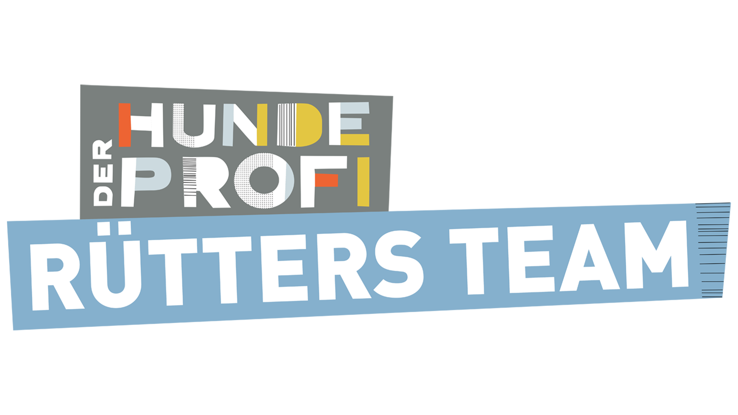Der Hundeprofi - Rütters Team