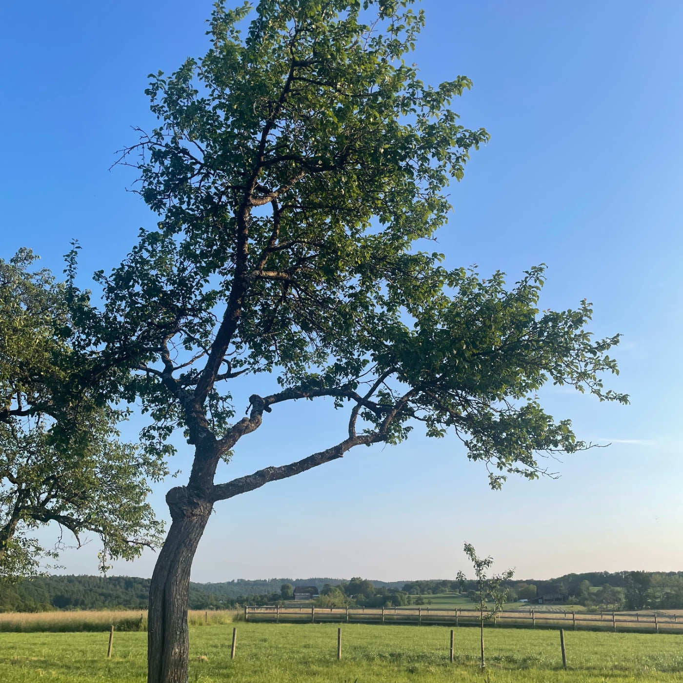(ohne Musik) Mo, 10.08. Entspannt einschlafen - Ein stiller Ort in dir