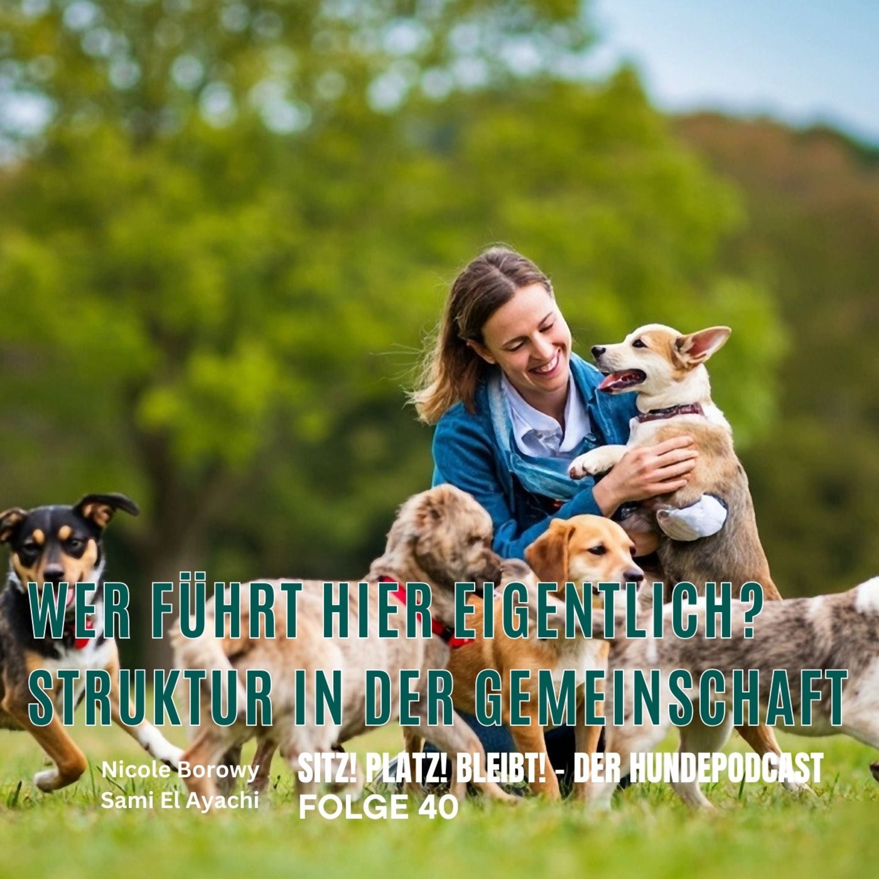 #40 Wer führt hier eigentlich? Struktur in der Gemeinschaft - wichtig oder nicht?